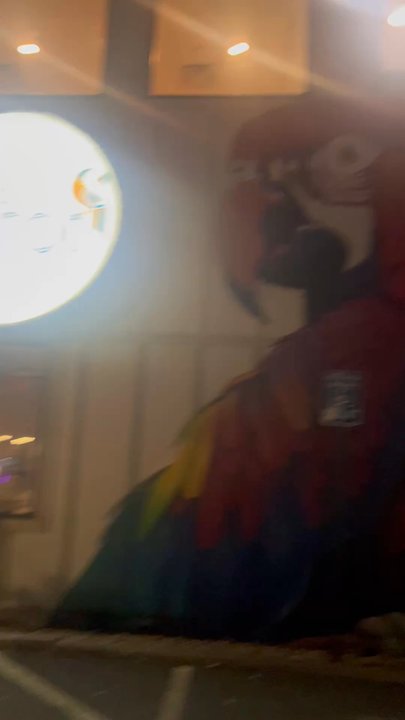 The Parrot - Outside - Seafood Near Me - Hull, Massachusetts