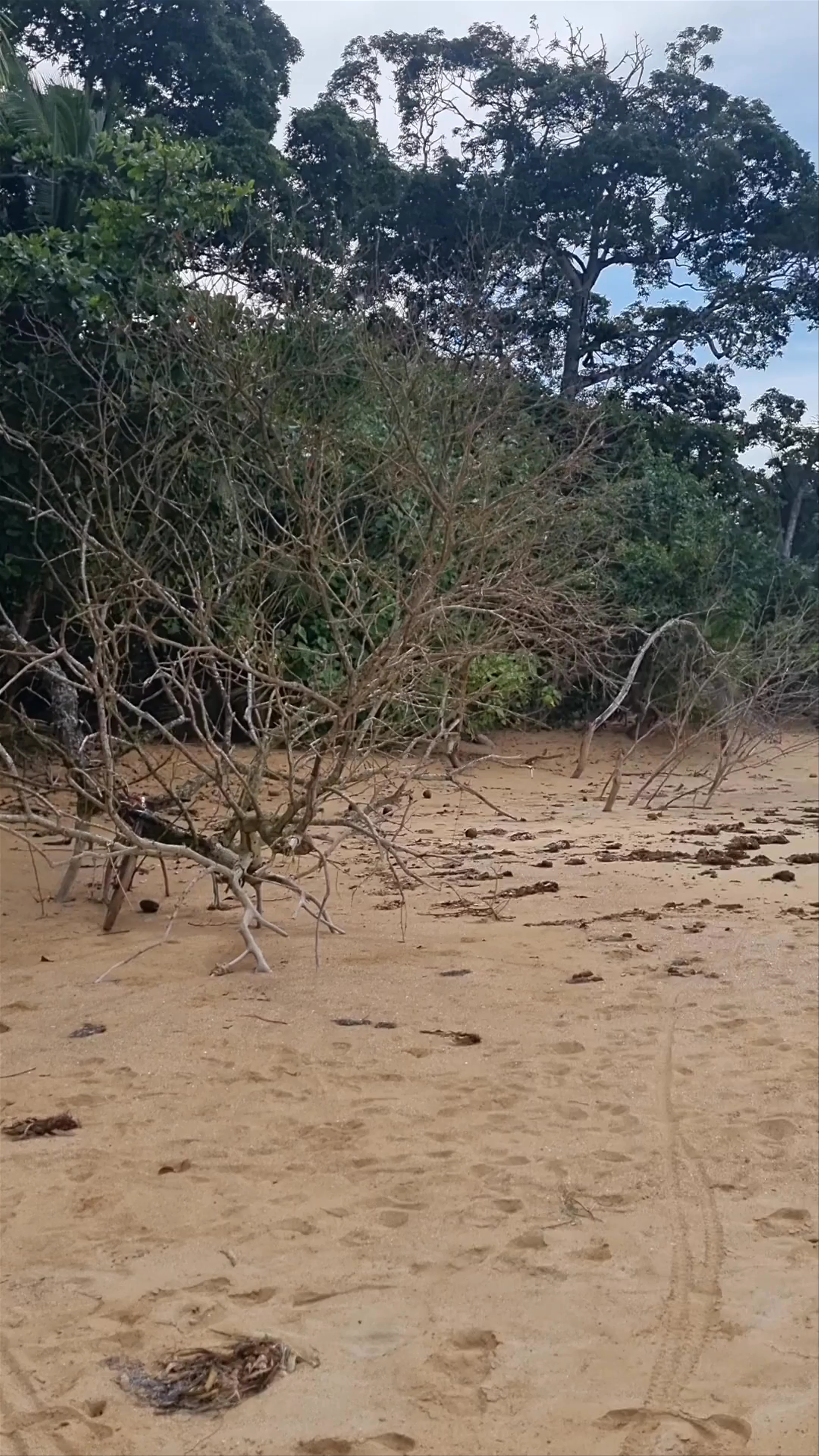 Playa Escondida, Bluff