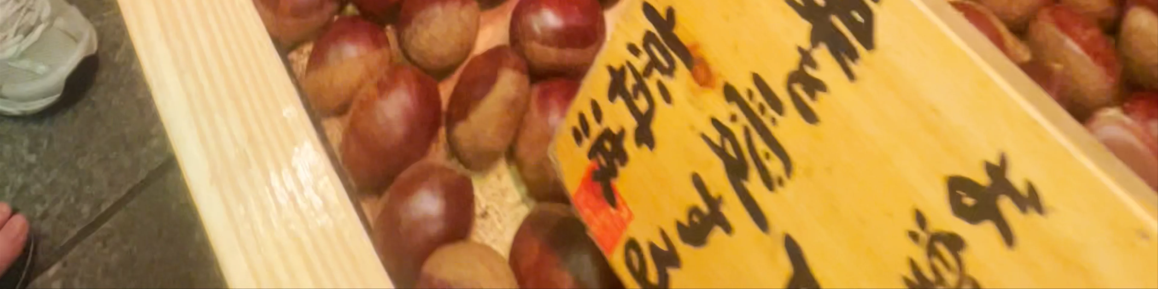 Nishiki Market