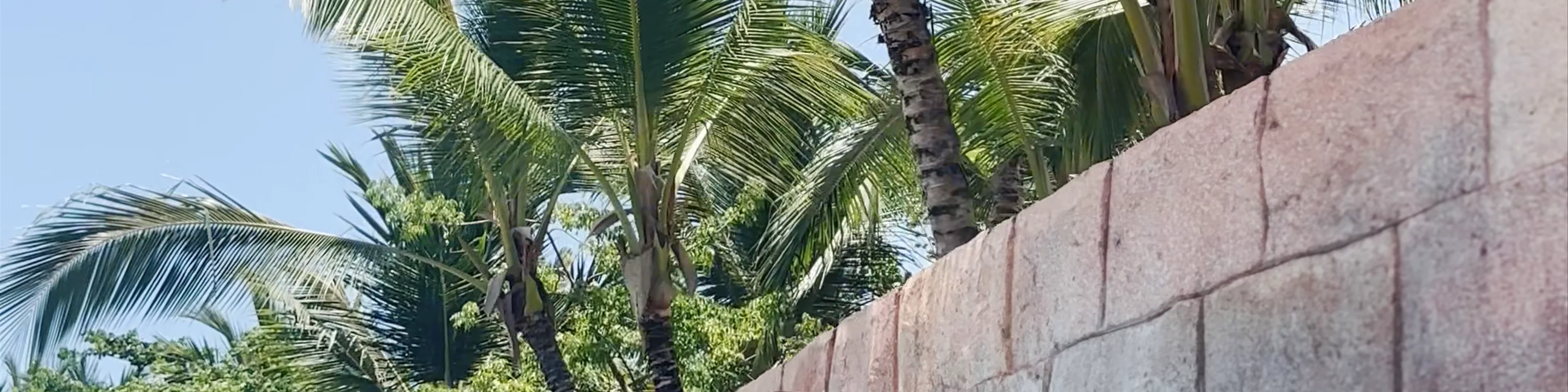 Royalton Bavaro