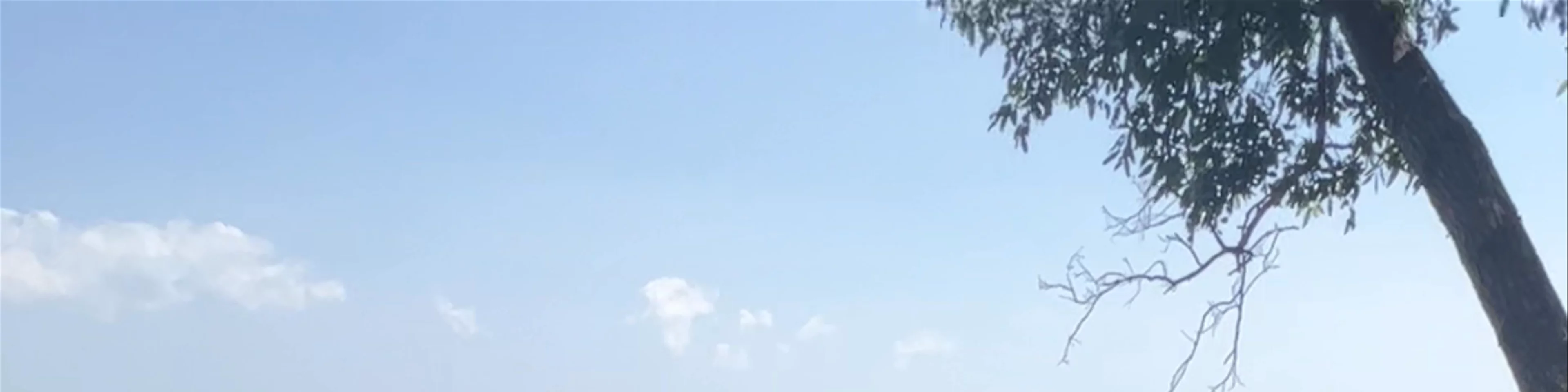 Zipline tadfane โหนสลิงตาดฟาน Paksong KM38