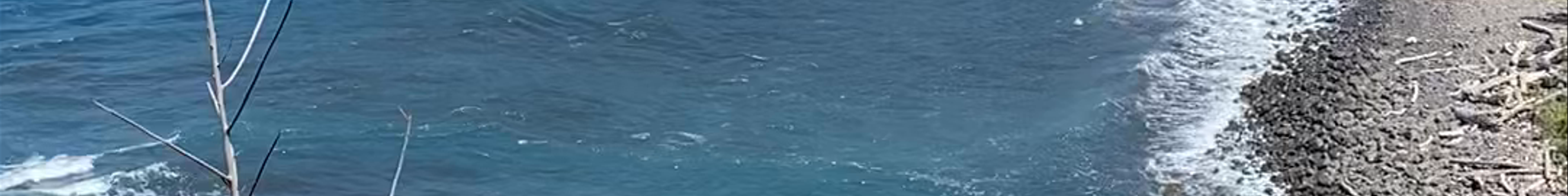 Tours & experiences in Waimea