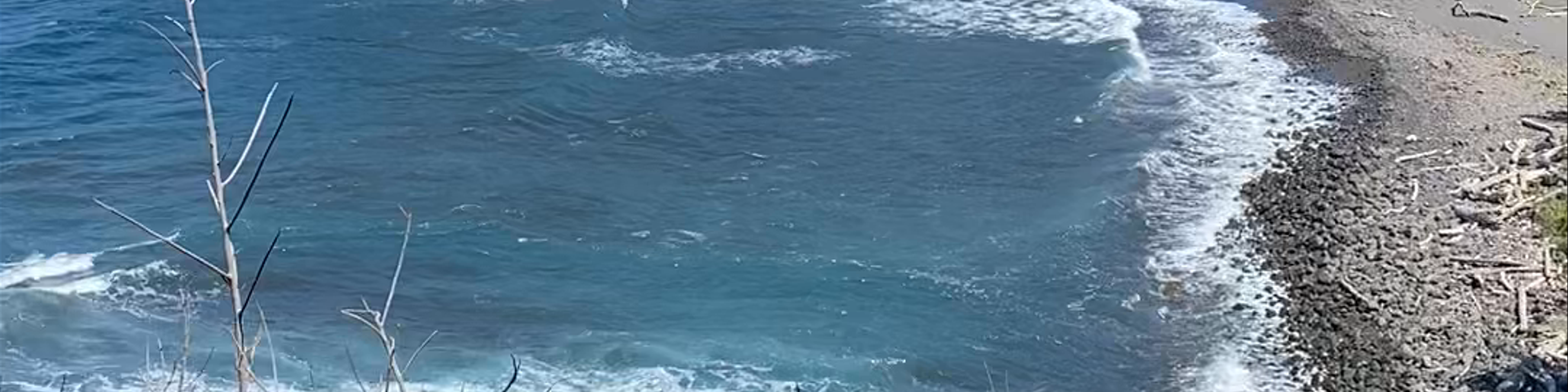 Waimea