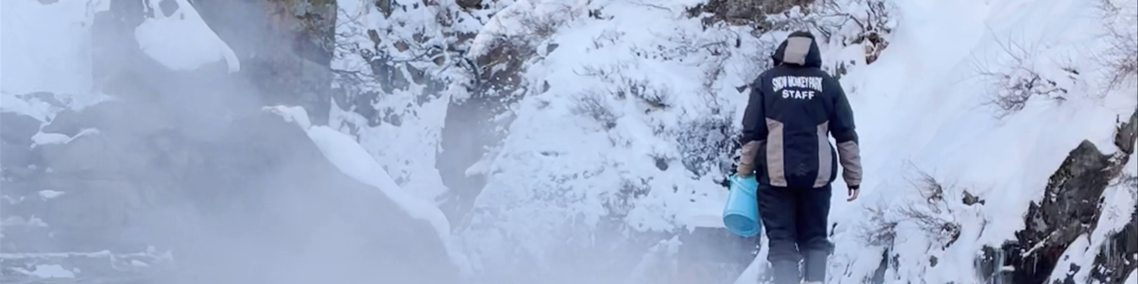Snow Monkey Park(Jigokudani Yaen Koen)