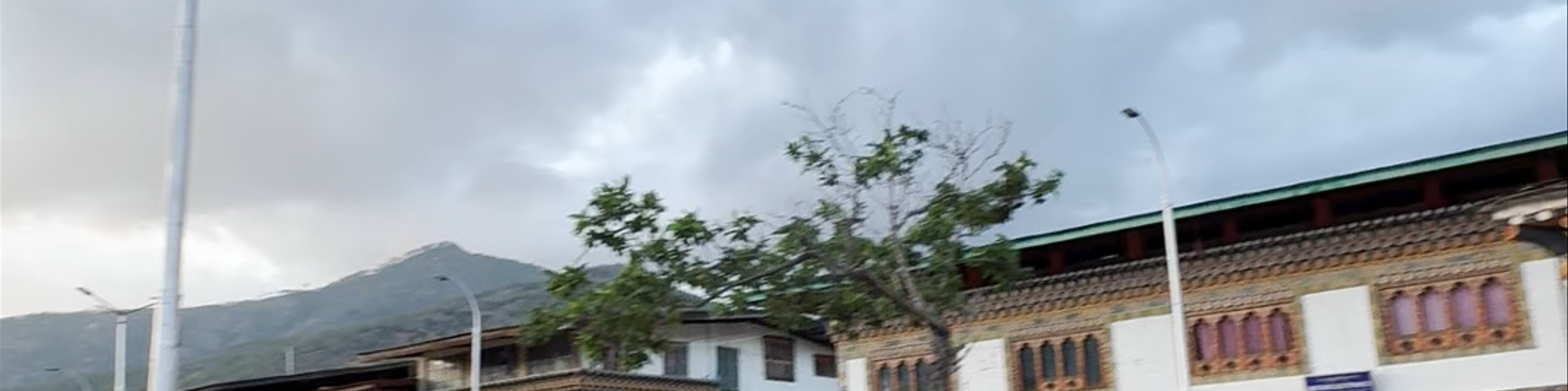 Paro