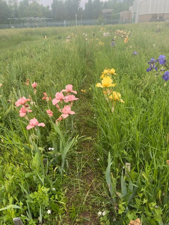 Long's Gardens - Nurseries & Gardening Near Me - Boulder, Colorado