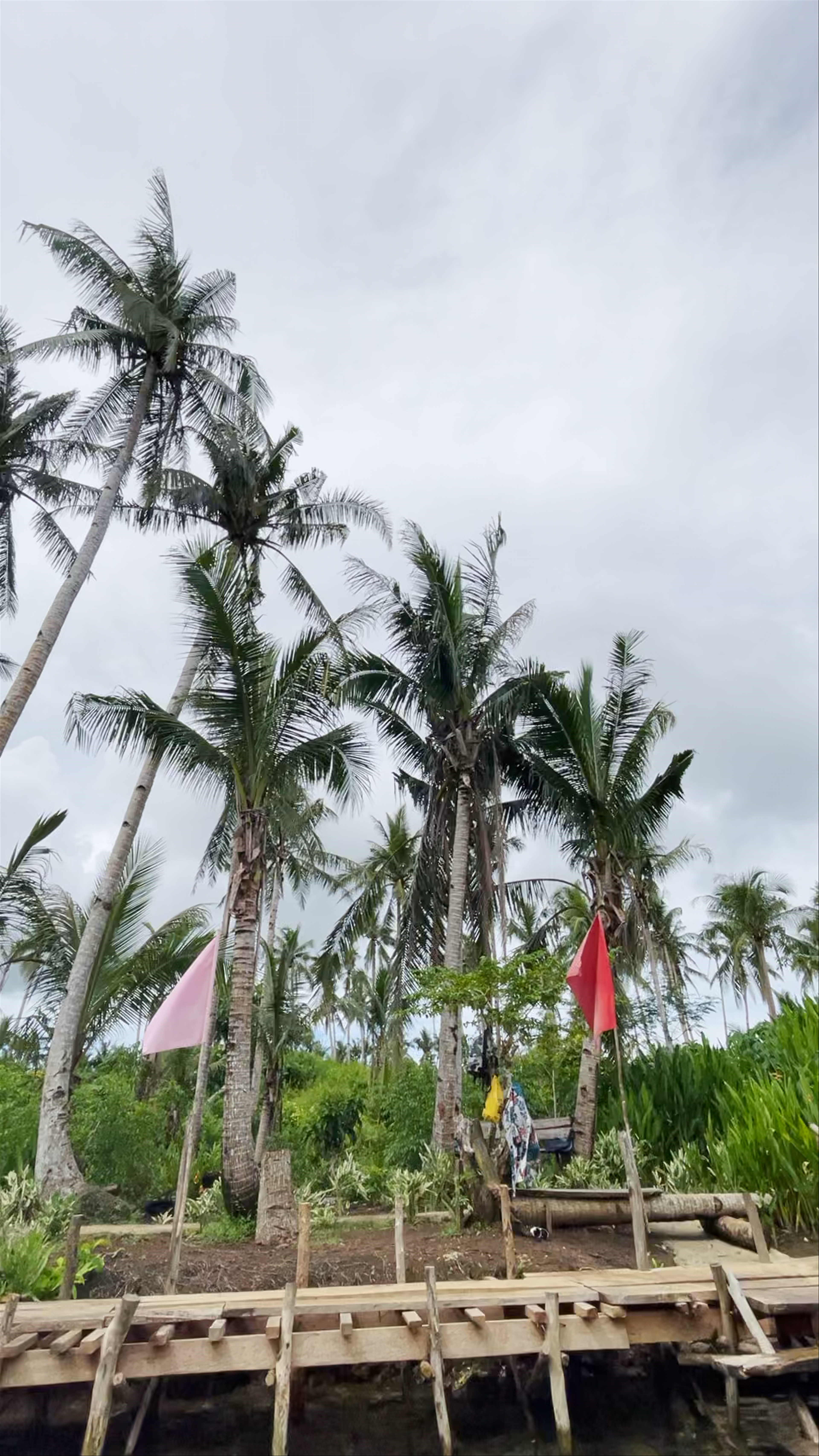 Maasin Bridge River Swing