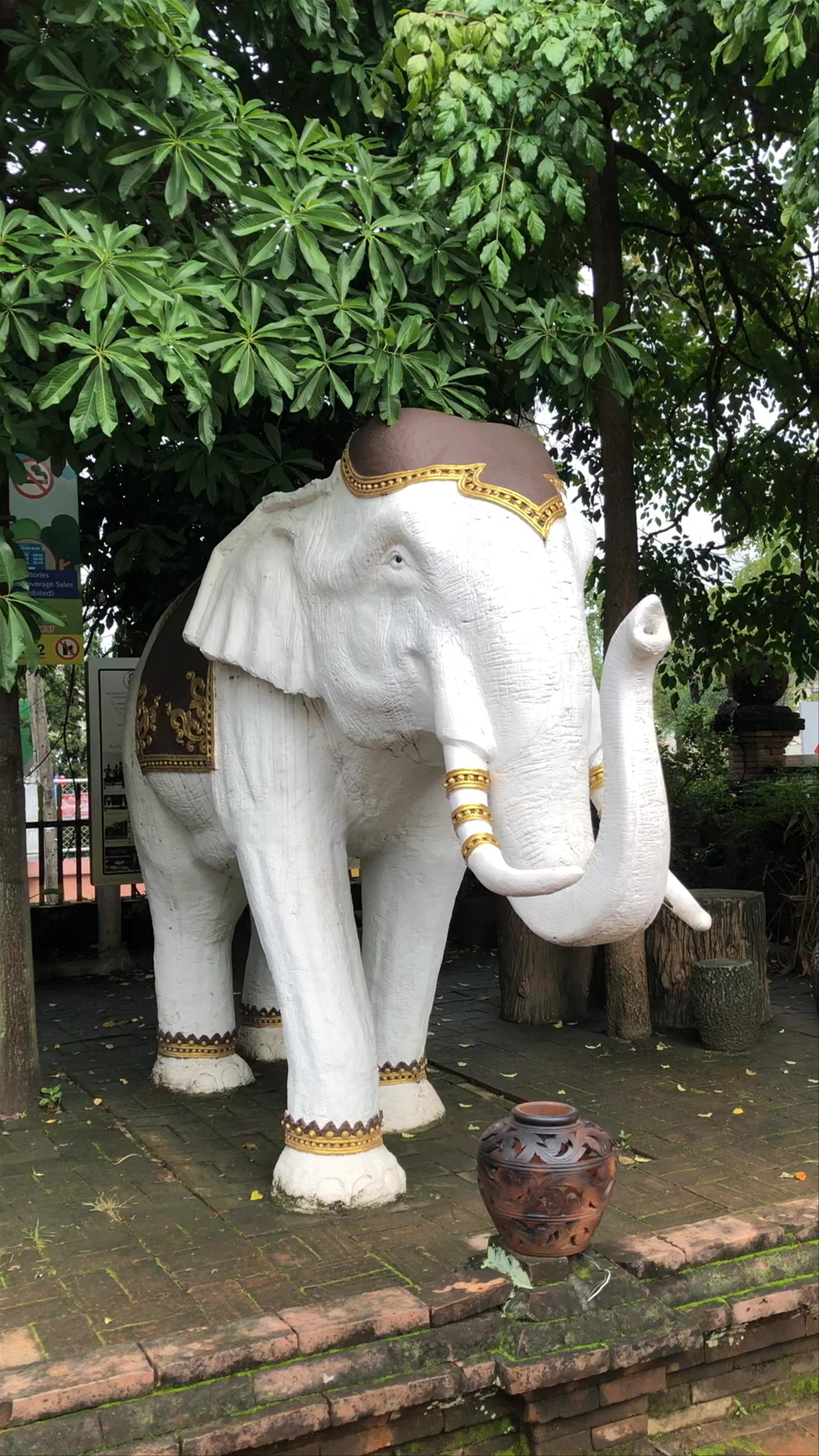 Wat Lok Moli
