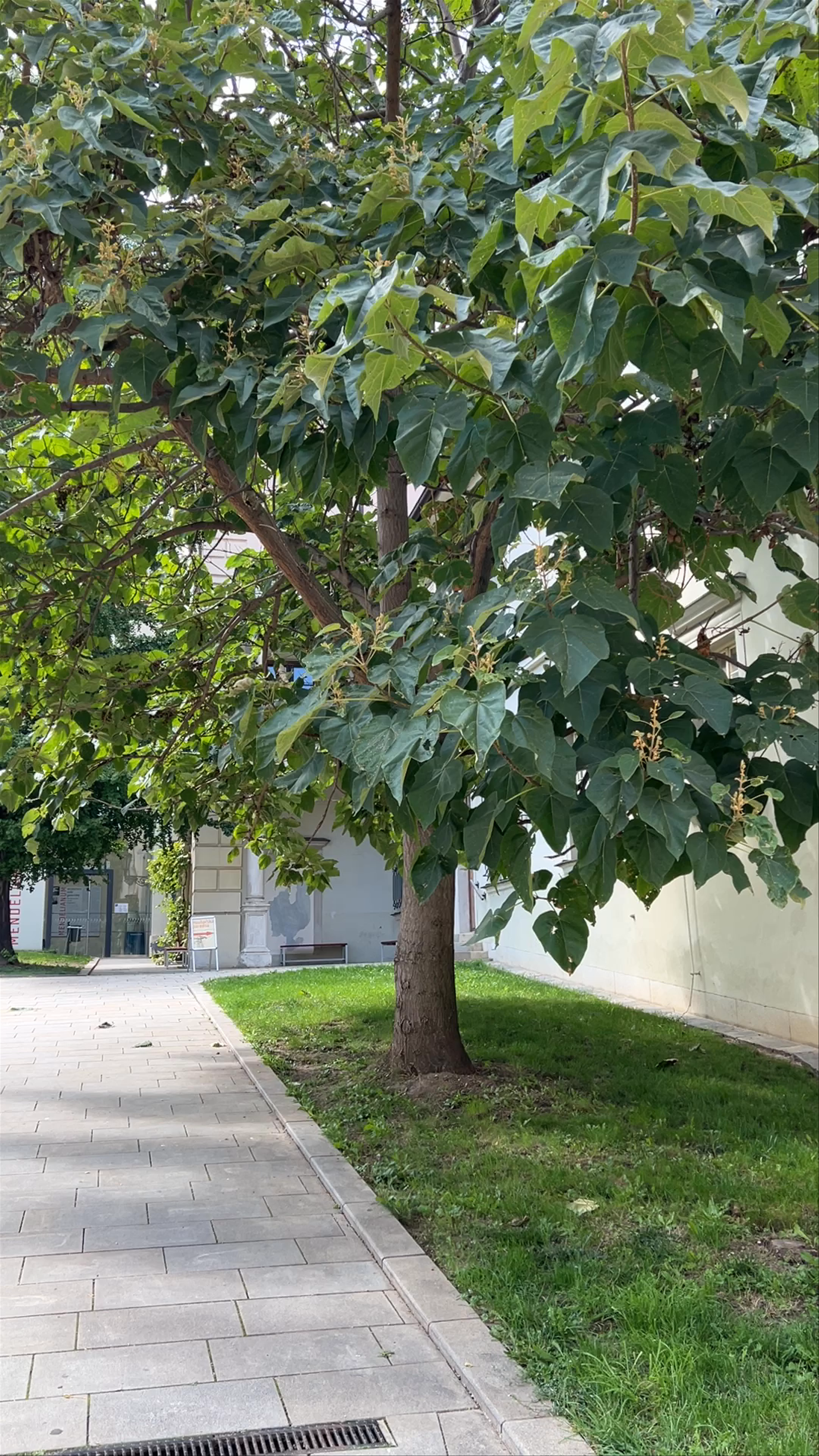 Moravian Museum - Bishop’s Courtyard