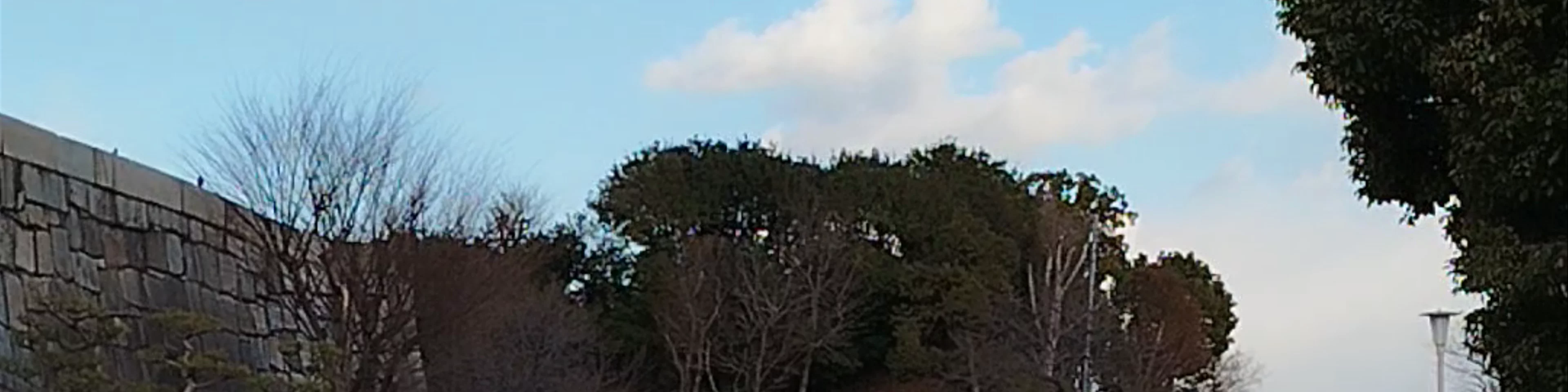 Osaka Castle Park