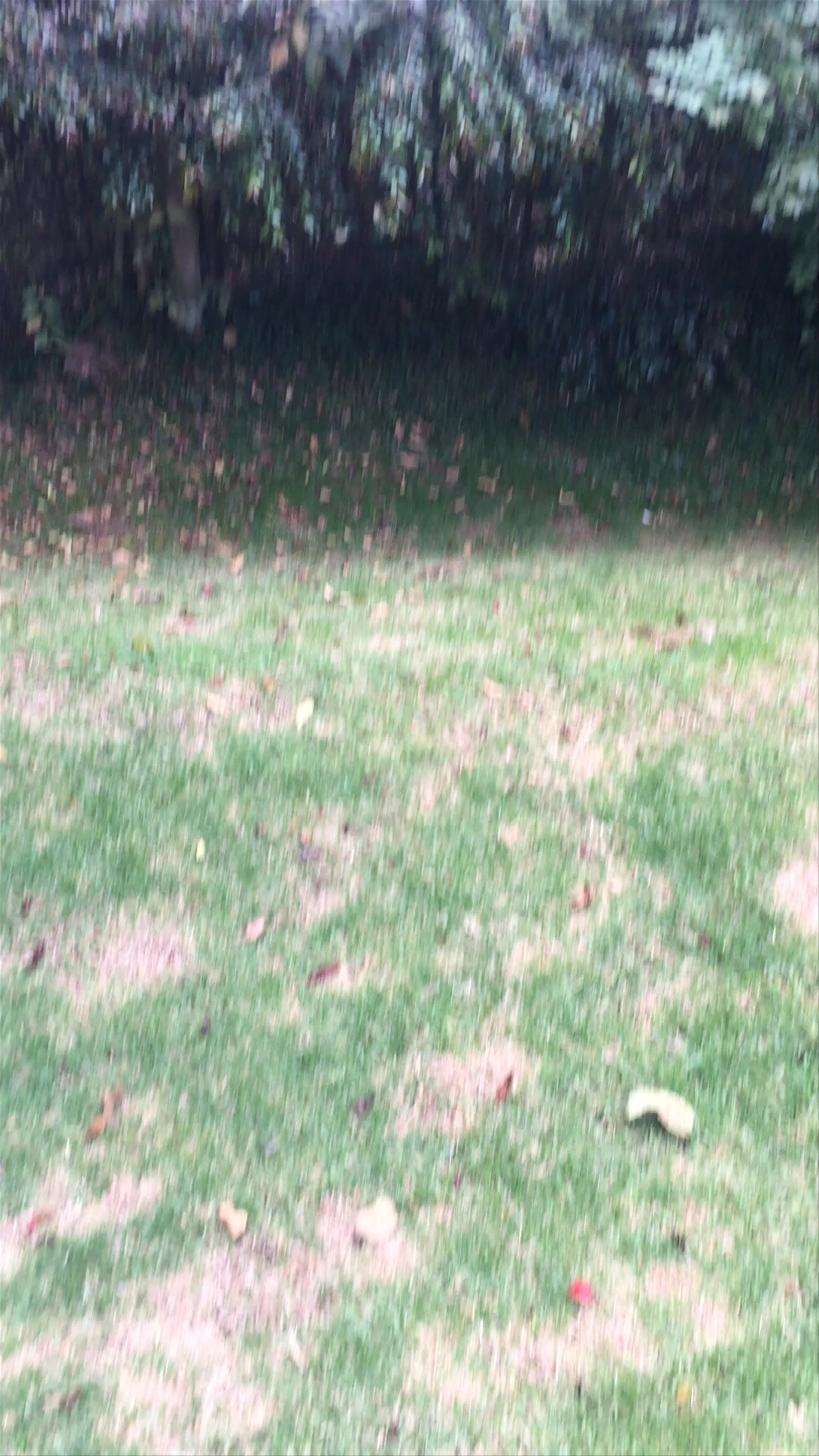 Scenic Tranquility at Club Los Lagartos, Bogotá
