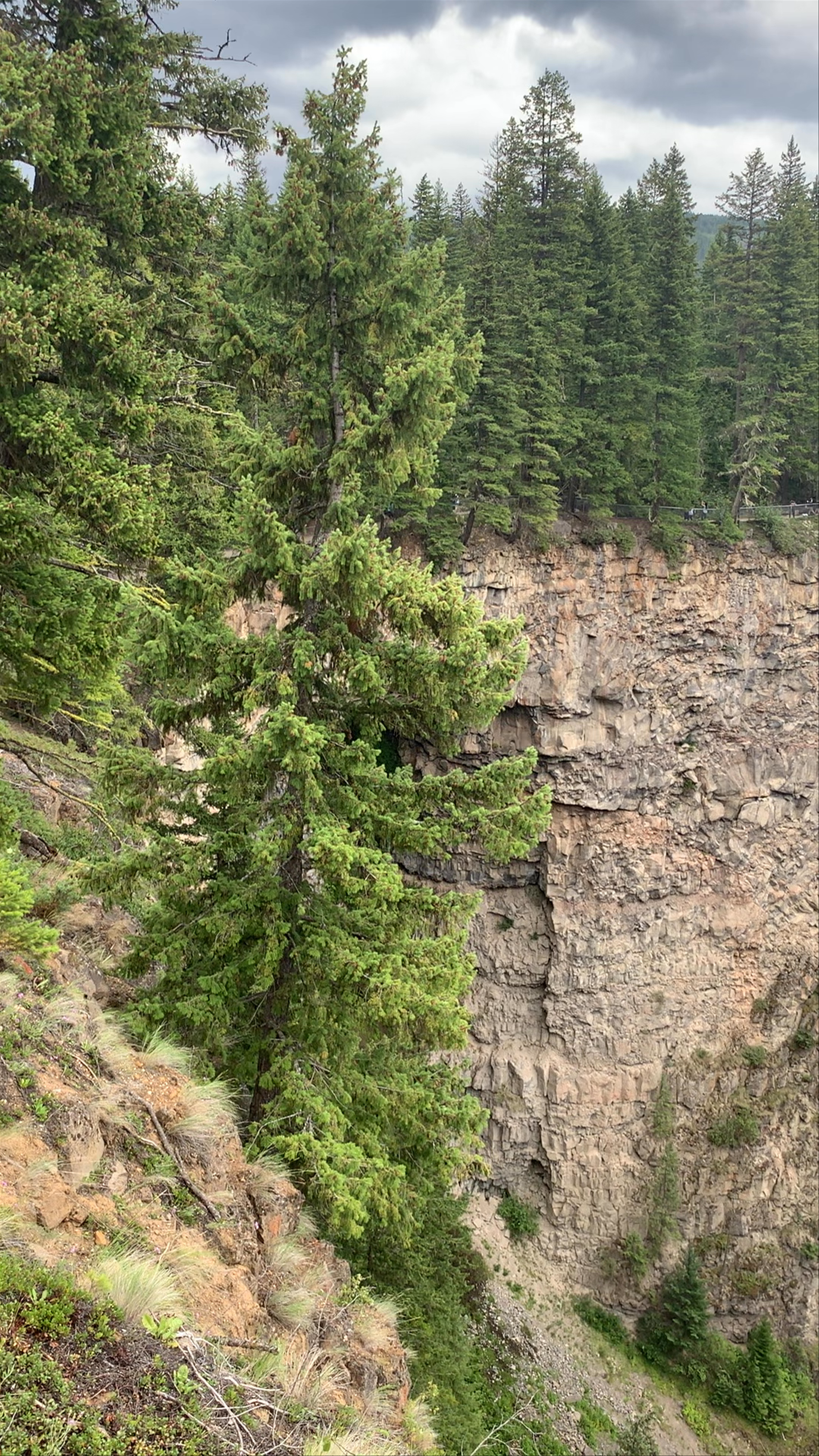 Wells Gray Provincial Park: Majestic Waterfalls & Untouched Wilderness