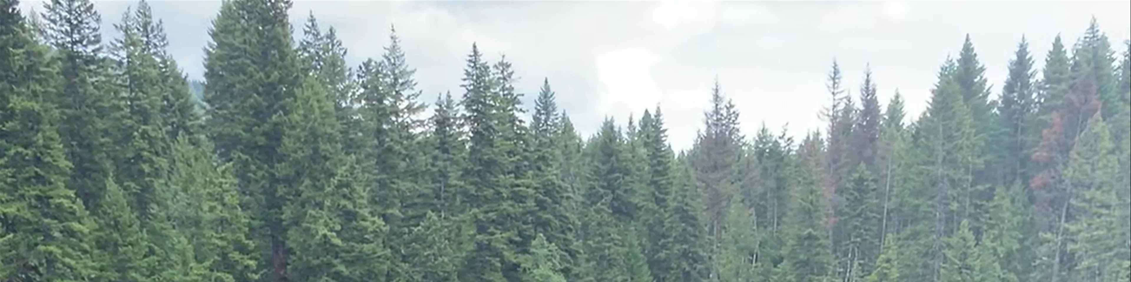 Wells Gray Provincial Park