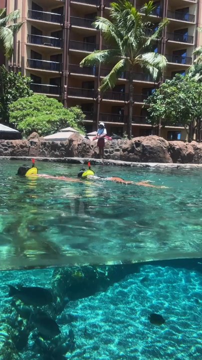 Rainbow Reef - Aquariums Near Me