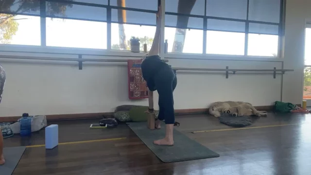 YANG FLOW: Rolling Ease  (60. minutes) 