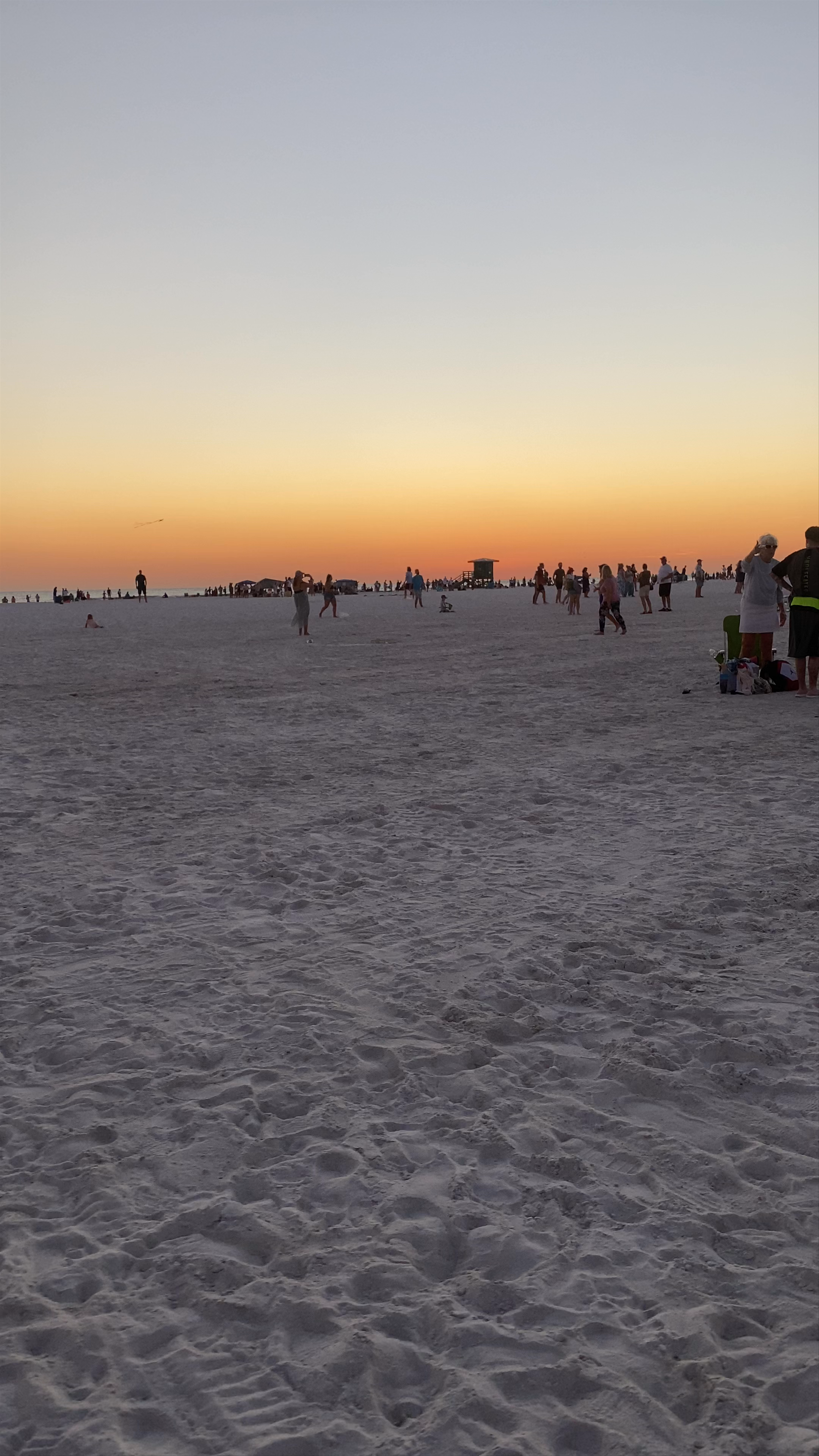 Siesta Beach Sunset Gathering: Relaxed Florida Beach Vibes