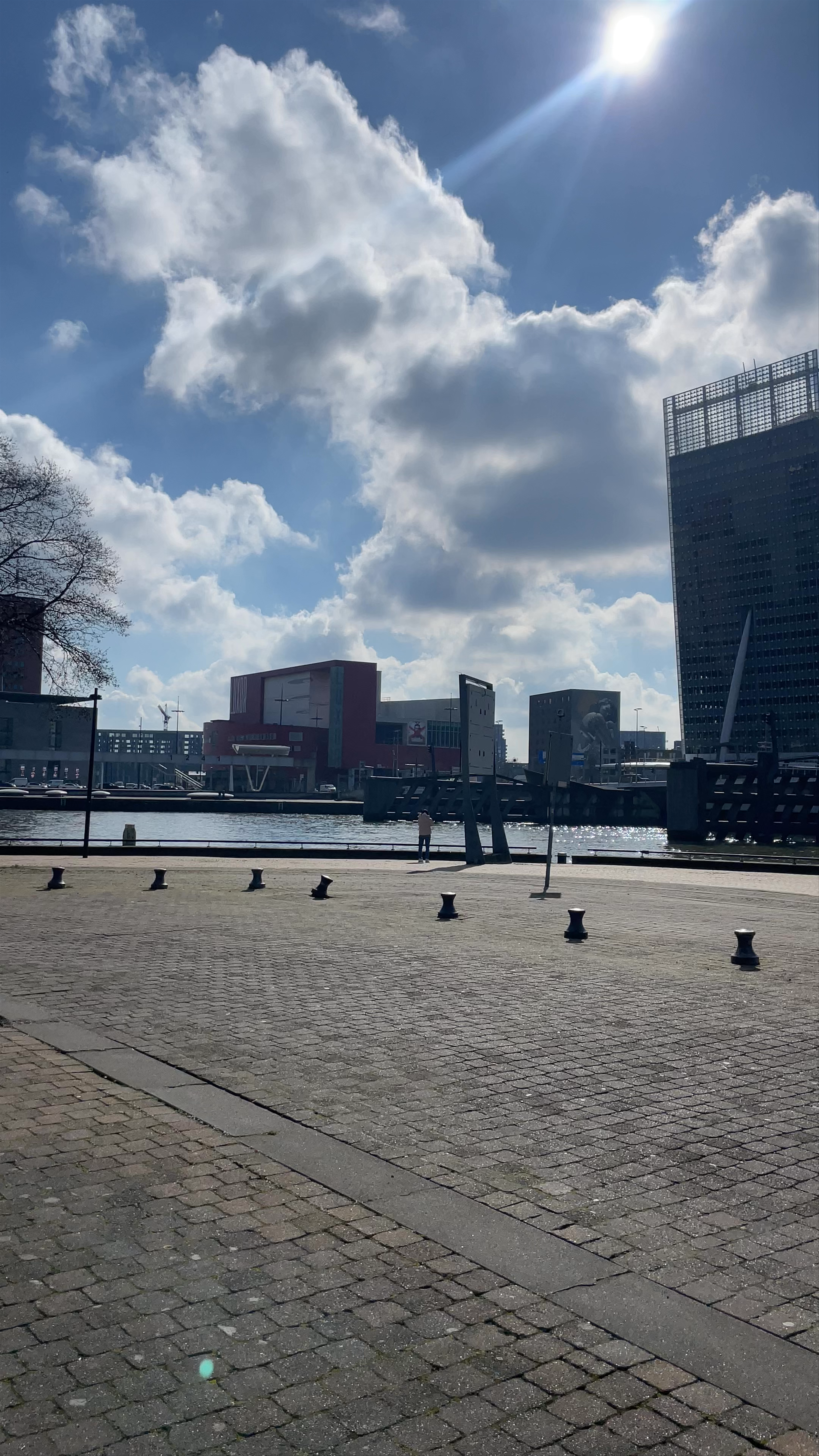 Erasmusbrug - Iconic Bridge and Waterfront Views in Rotterdam