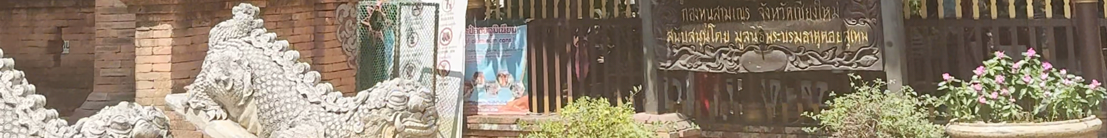 Tours & experiences in Chiang Mai
