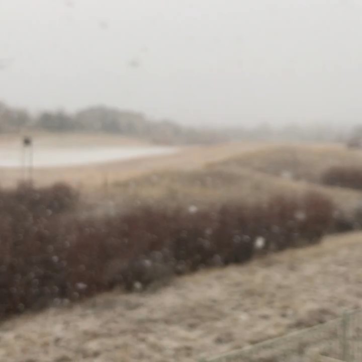 Saddle Rock Golf Course - Snow before Chinese New Year! - Golf Near Me - Aurora, Colorado