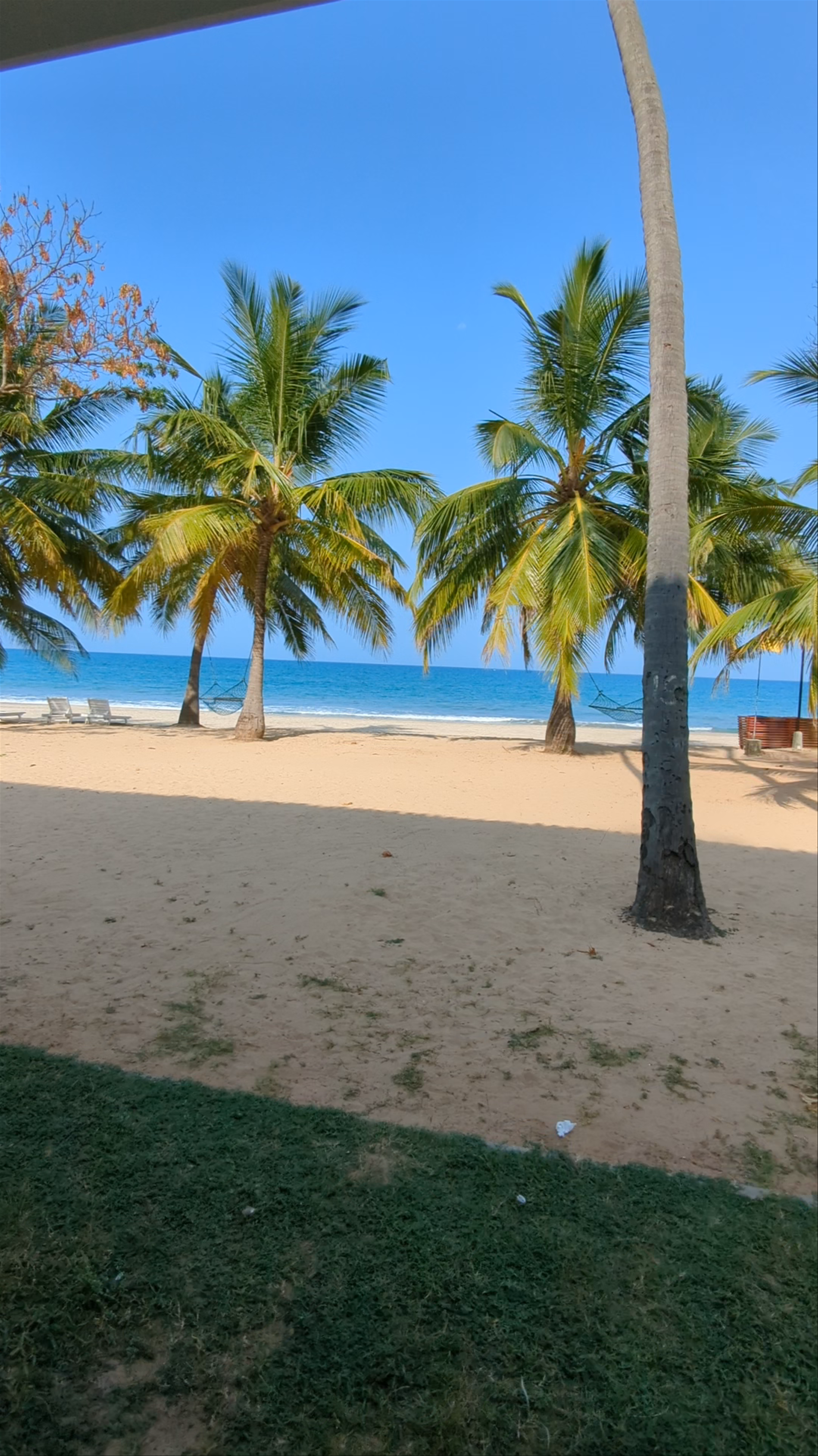 Trinco Blu by Cinnamon