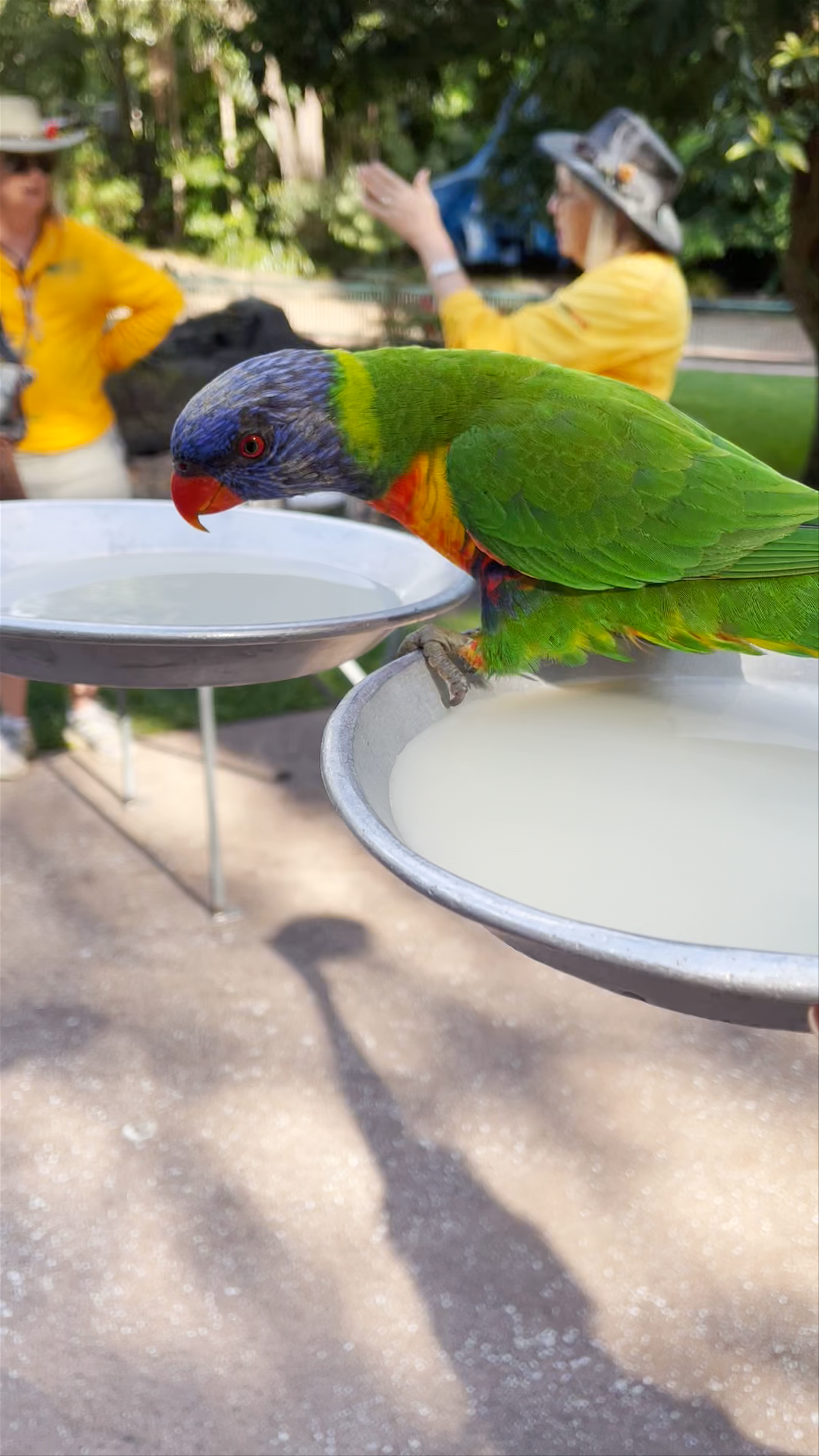 Currumbin Wildlife Sanctuary