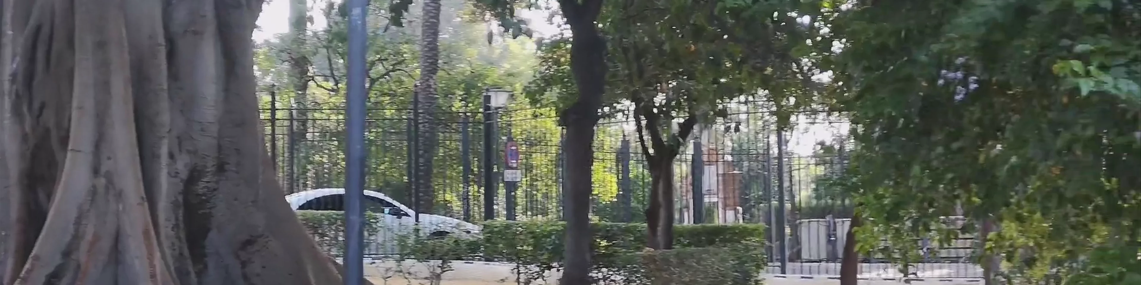 Jardines de murillo