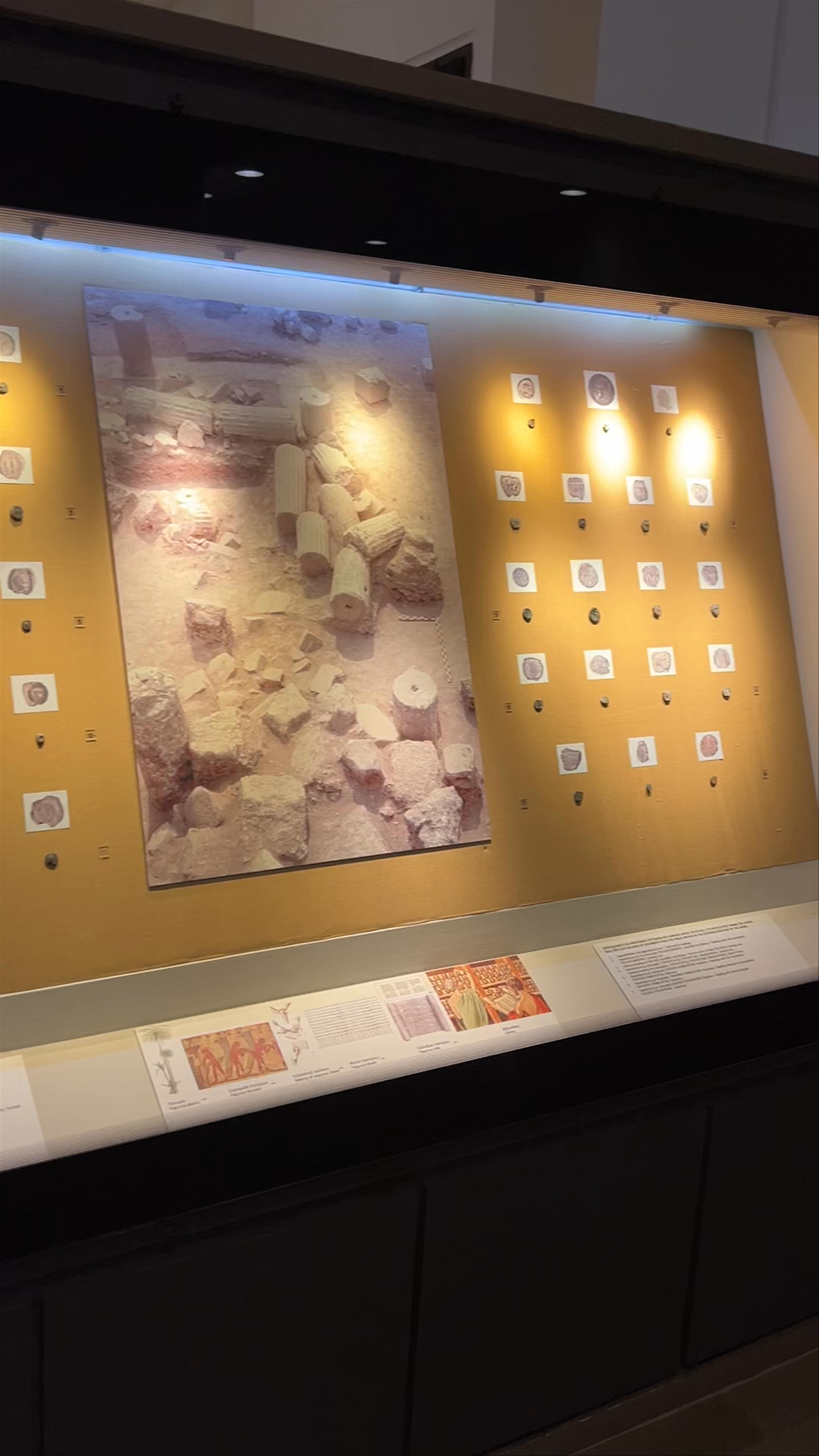 Archaeological Museum of Pella