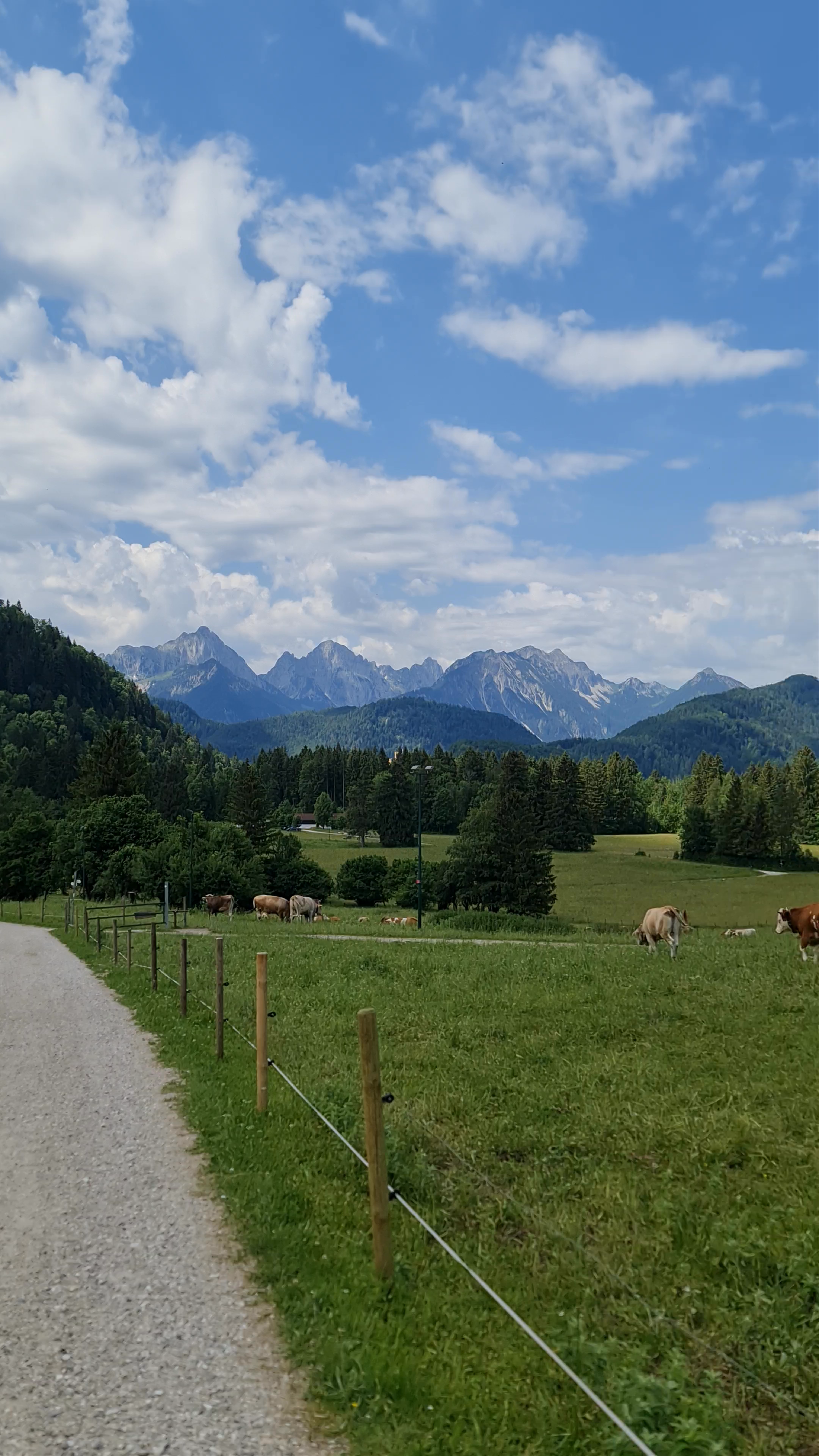 Neuschwanstein Castle