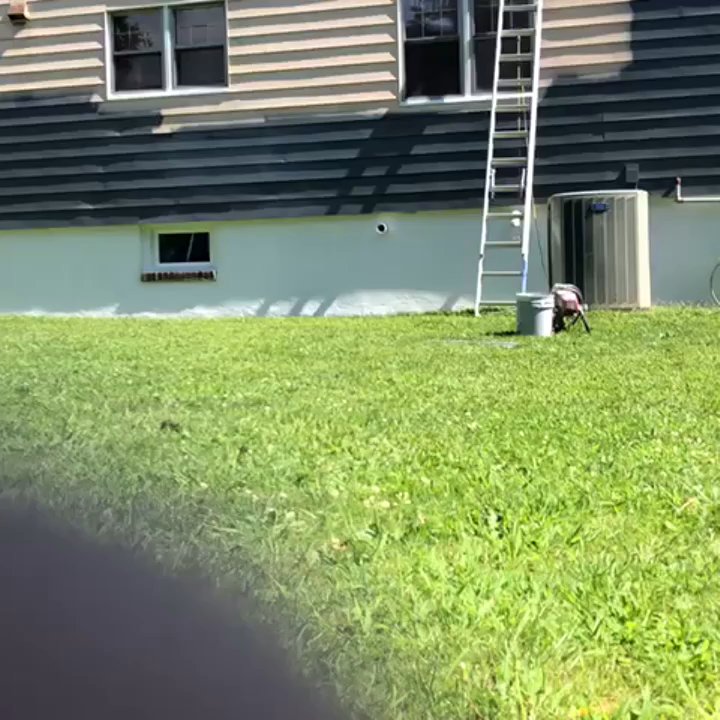 Eagles Painting - Painters Near Me