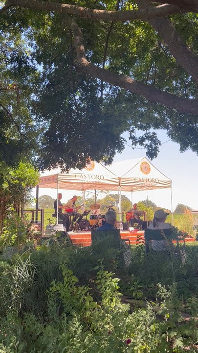 Castoro Cellars - Wineries Near Me - Templeton, California