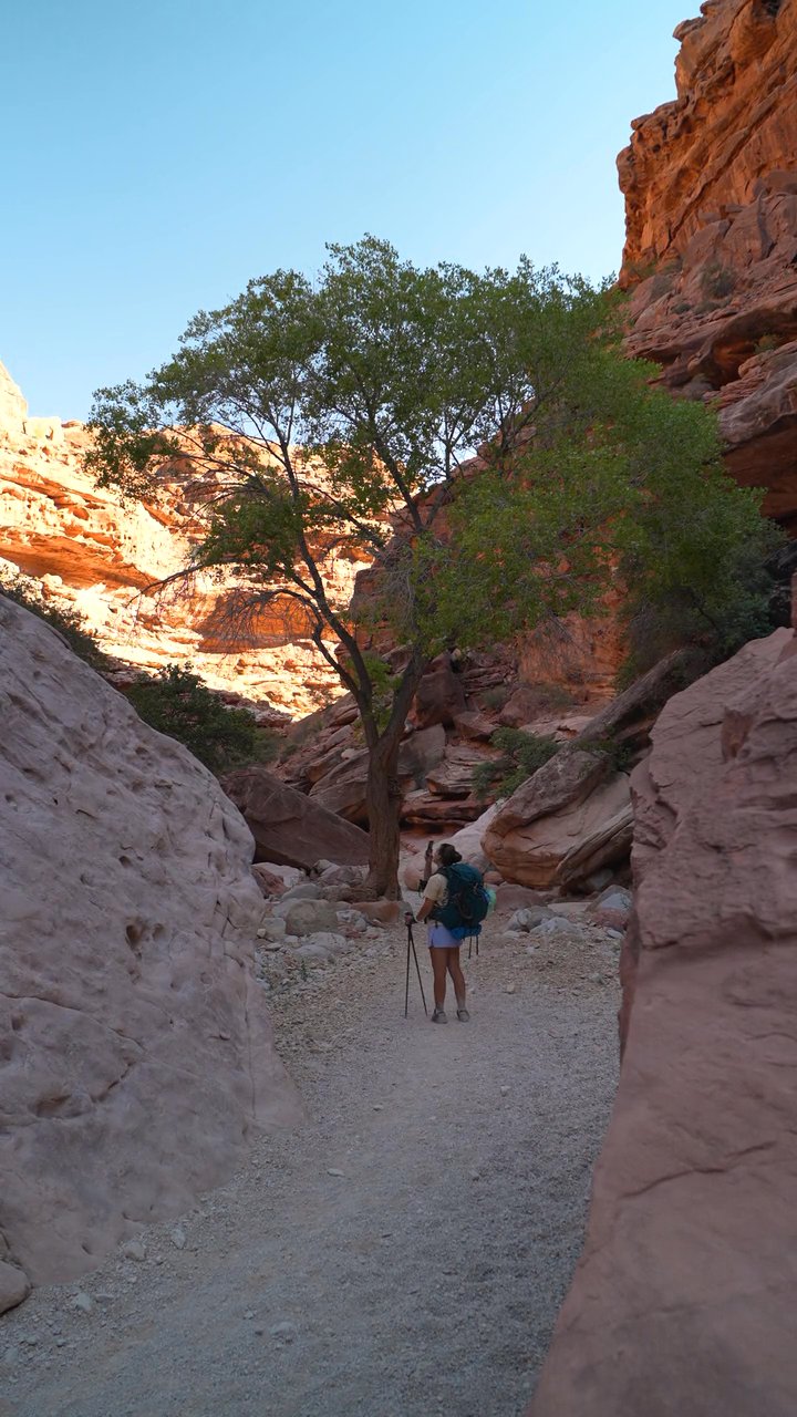 add this to the bucket list ✈️
📍 Grand Canyon
🎥 Alex Moliski · Pexels
#travel #wanderlust #nature #adventure #vacation