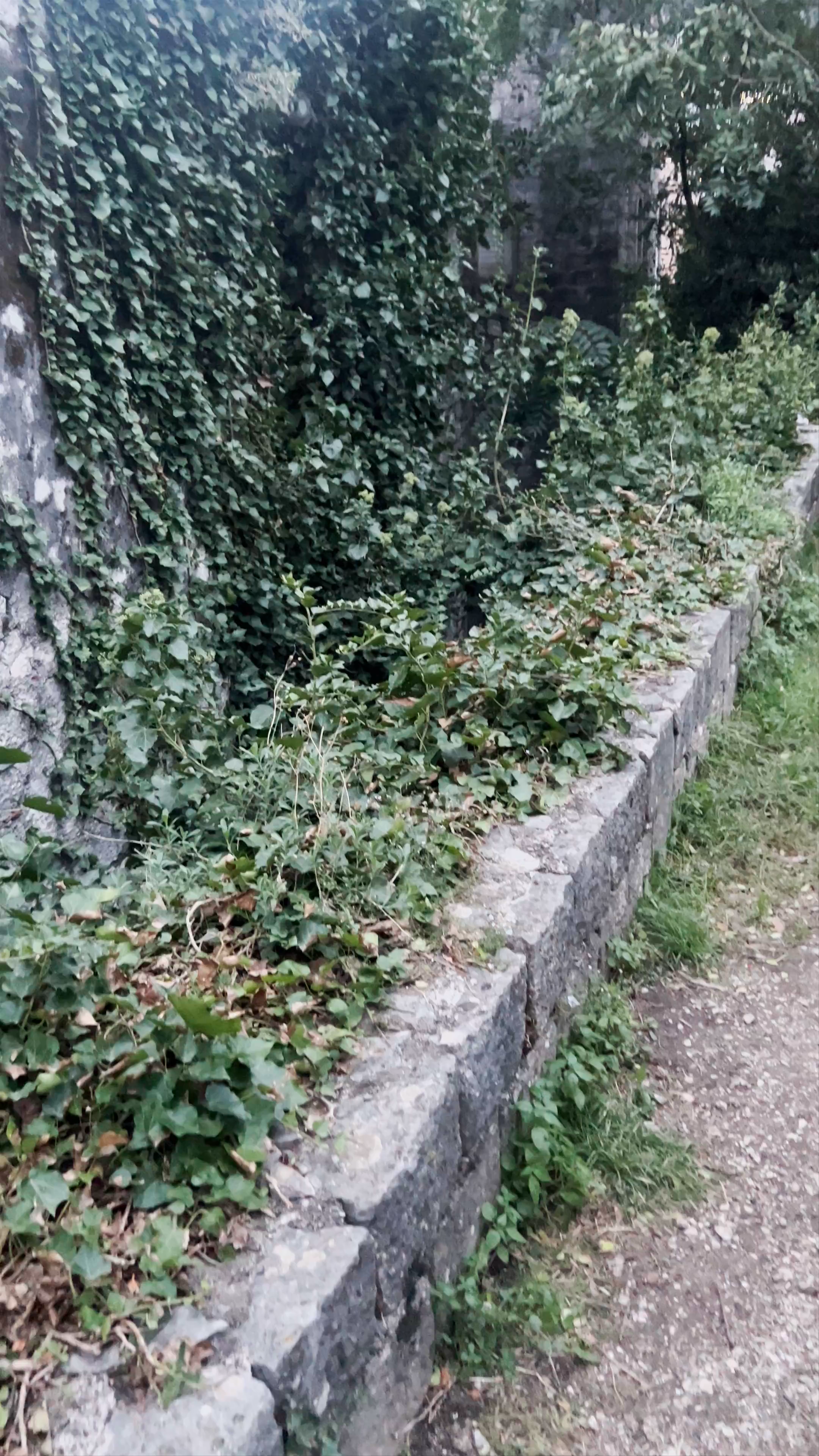 Ruins of St. Nicholas Monastery