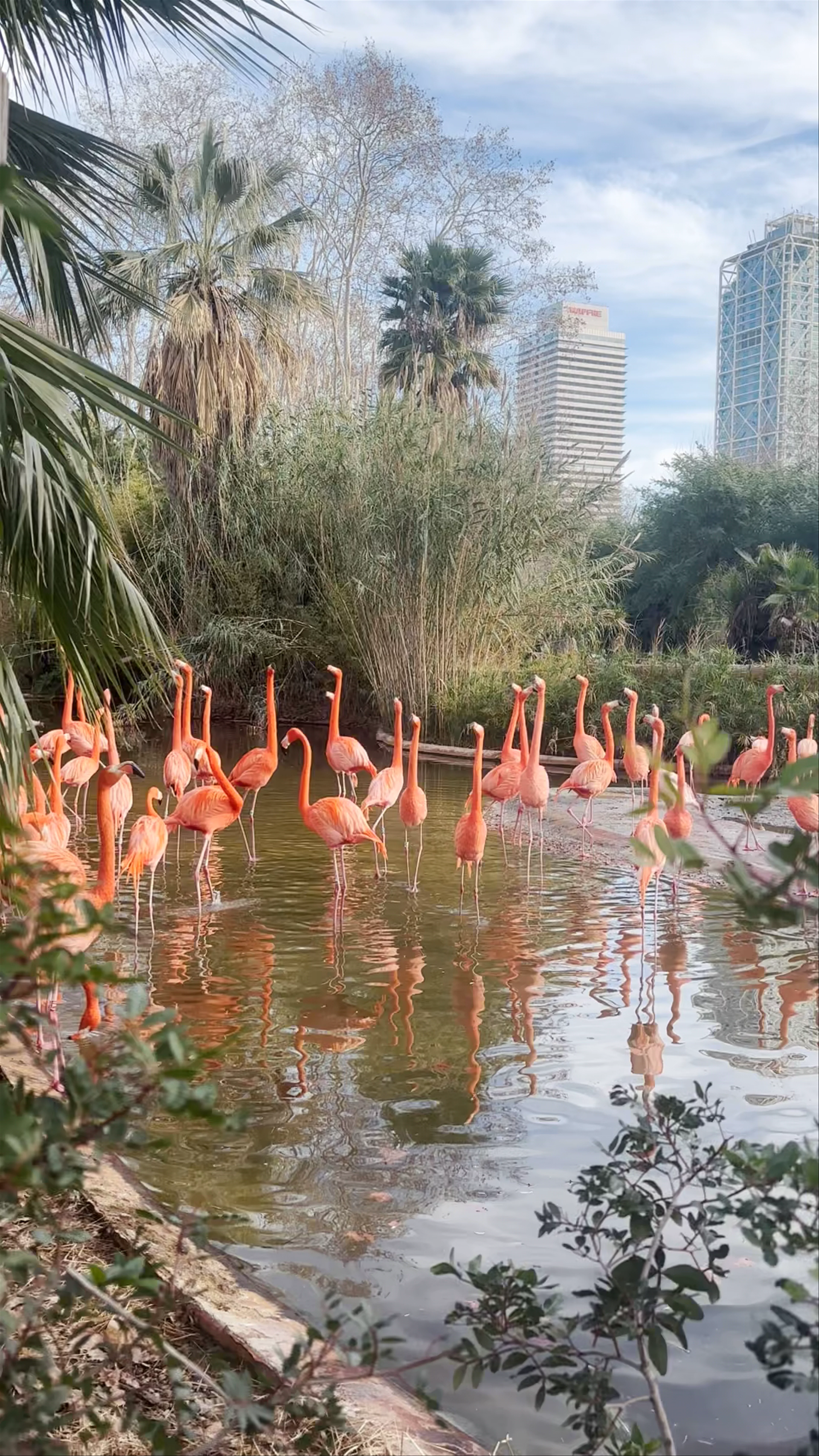 Zoo Barcelona, Parc de la Ciutadella