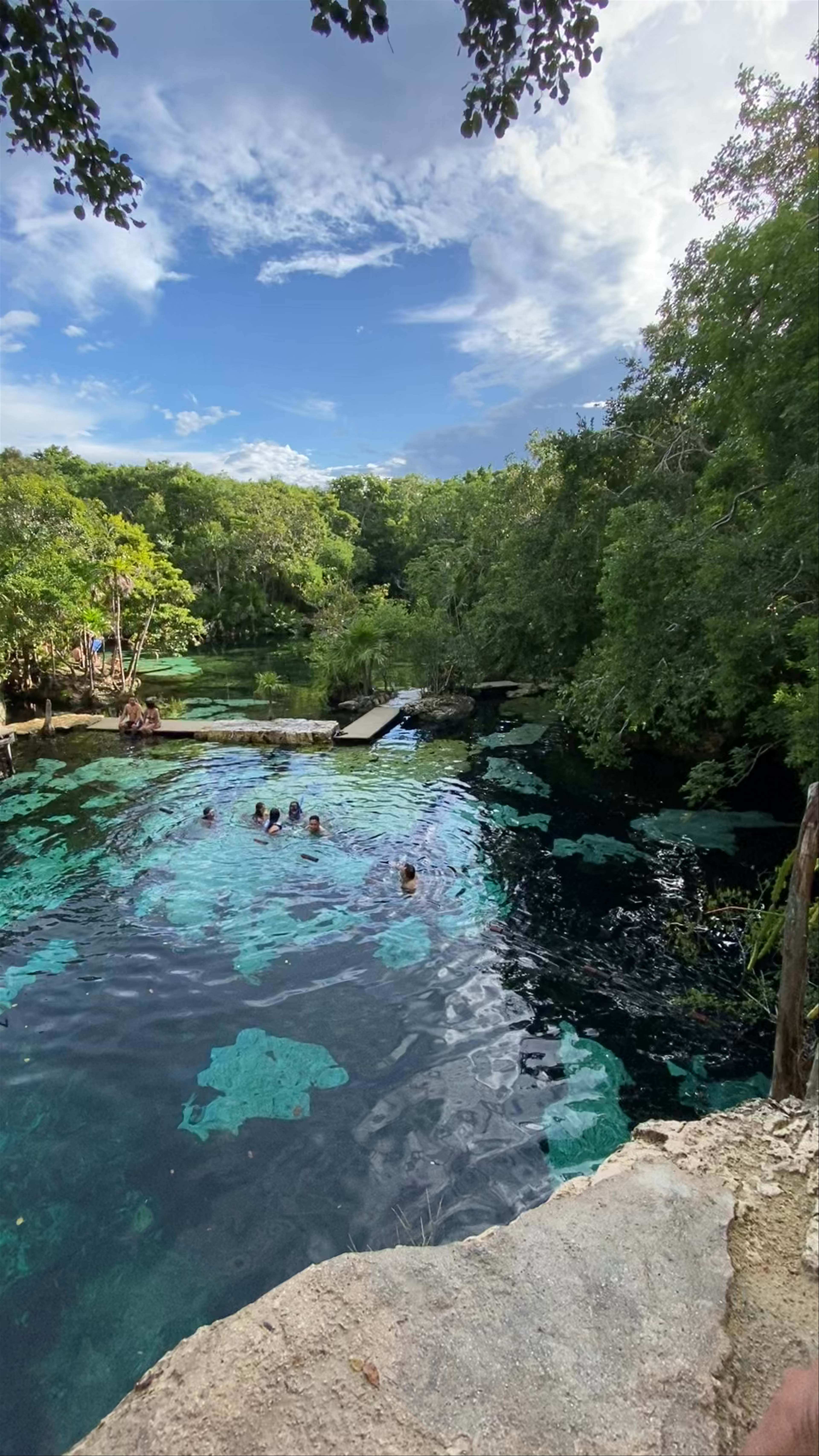 Cenote Azul: Crystal Clear Natural Swimming in Quintana Roo