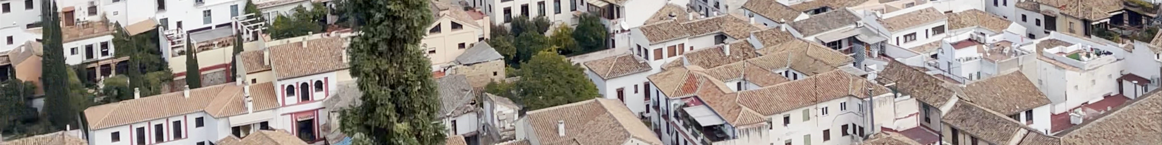 Tours & experiences in Granada