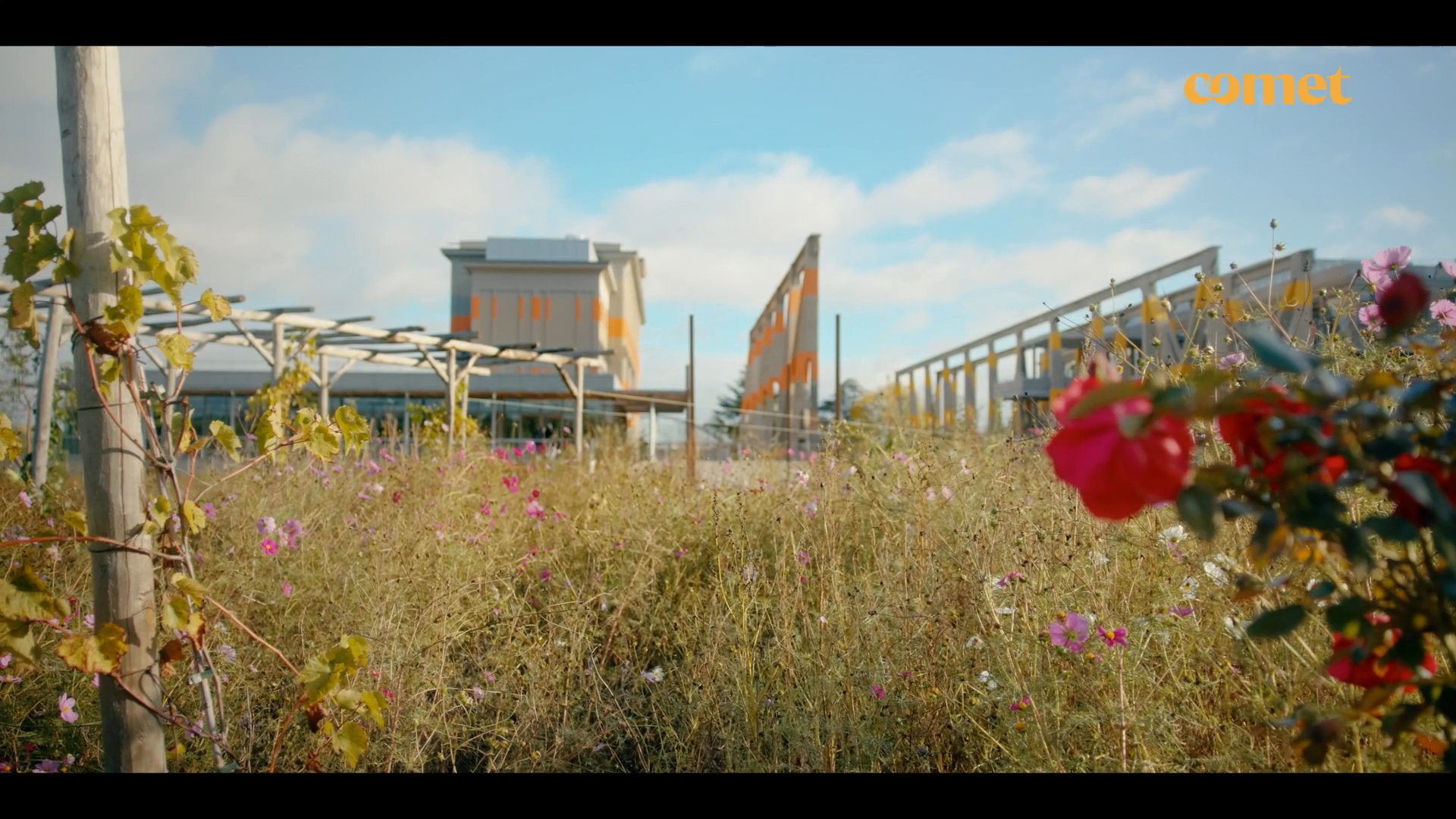 VDEF2 - 16:9 Comet_Arboretum WEB.mov