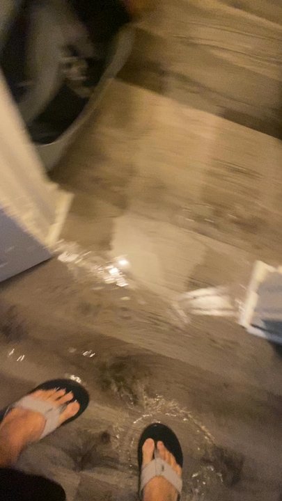Pro Management - Woke up to the toilet flooding my apartment and ruining personal expensive items that Pro Management refused to compensate for. - Real Estate Services Near Me - Hemet, California
