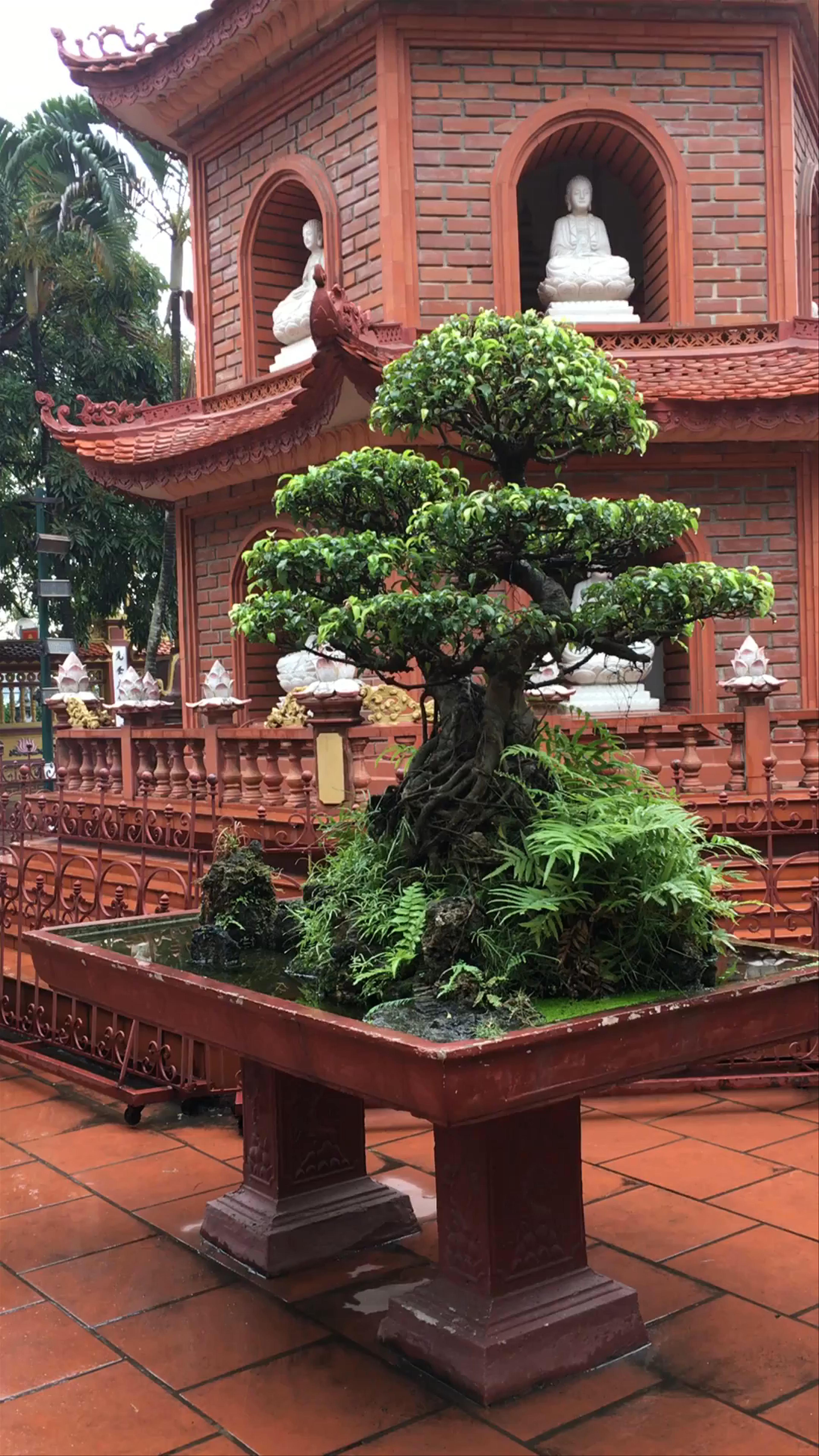 Trấn Quốc Pagoda: Timeless Serenity in Ho Chi Minh City