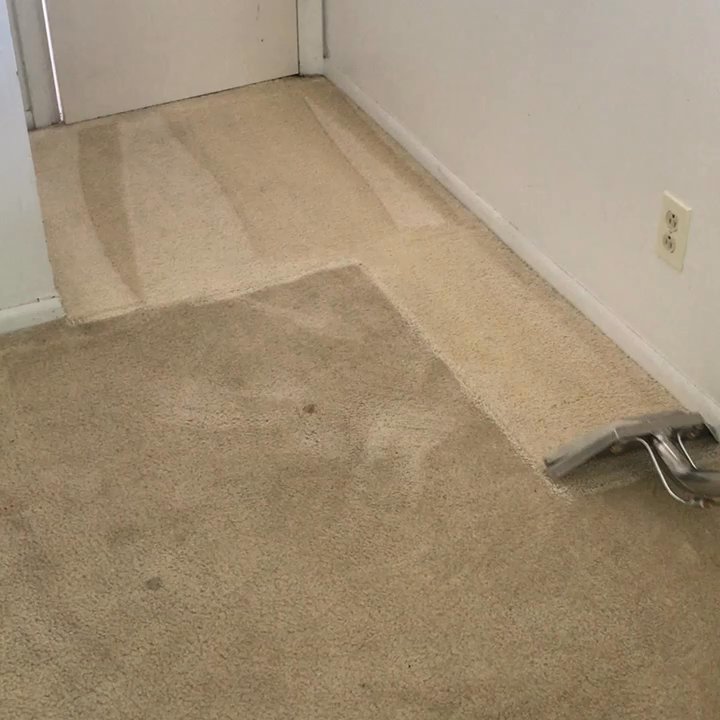 Primary Pacific Cleaning - Catching the Edges of the carpet with a carpet cleaning wand.. then finishing the whole room with a rotary extractor. - Home Cleaning Near Me