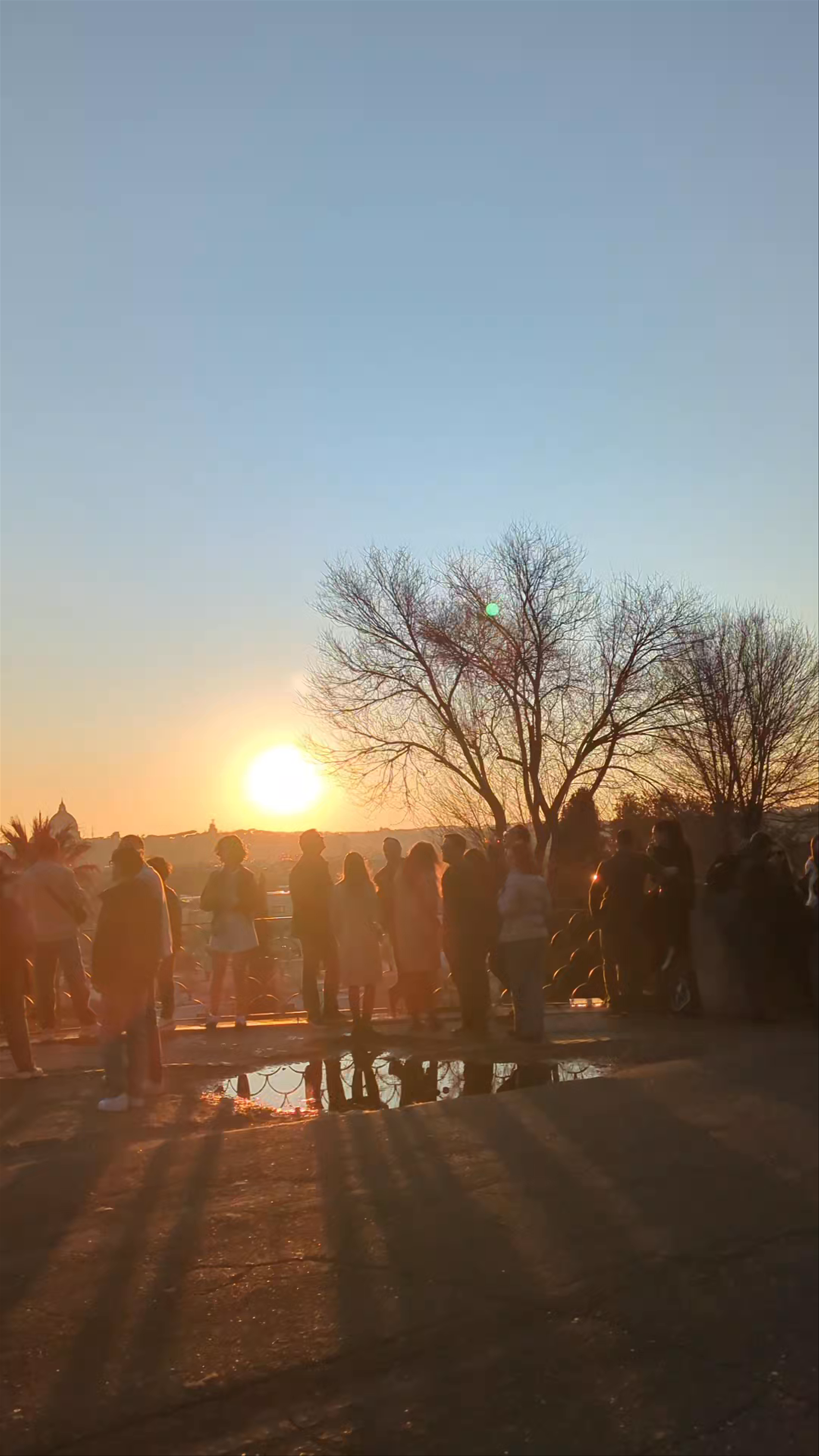 Terrazza Viale del Belvedere