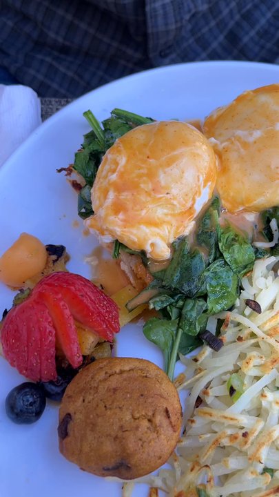 Cafe Lush - Cafes Near Me - Albuquerque, New Mexico