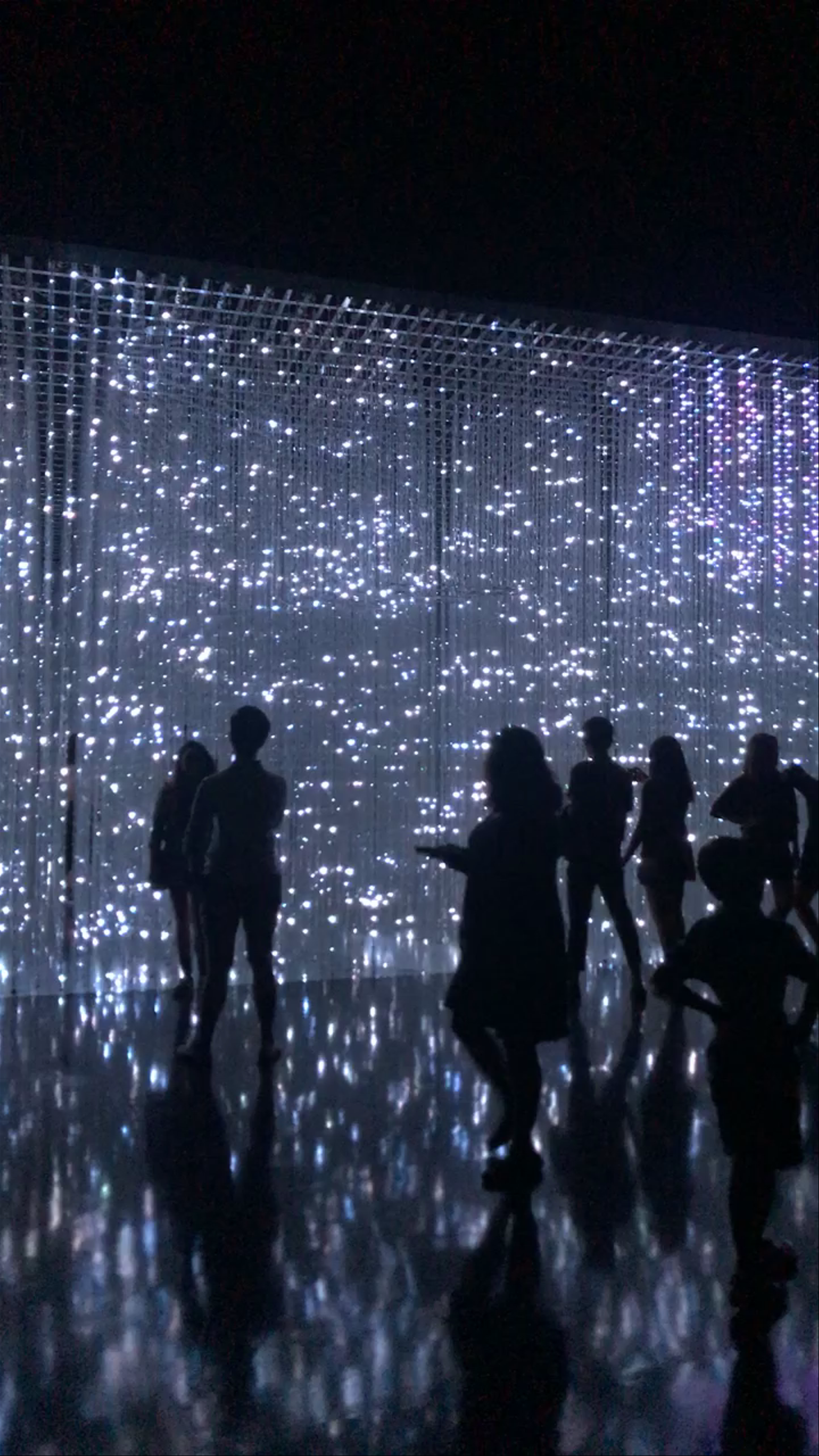 FUTURE WORLD at ArtScience Museum Singapore: Immersive Light Experience
