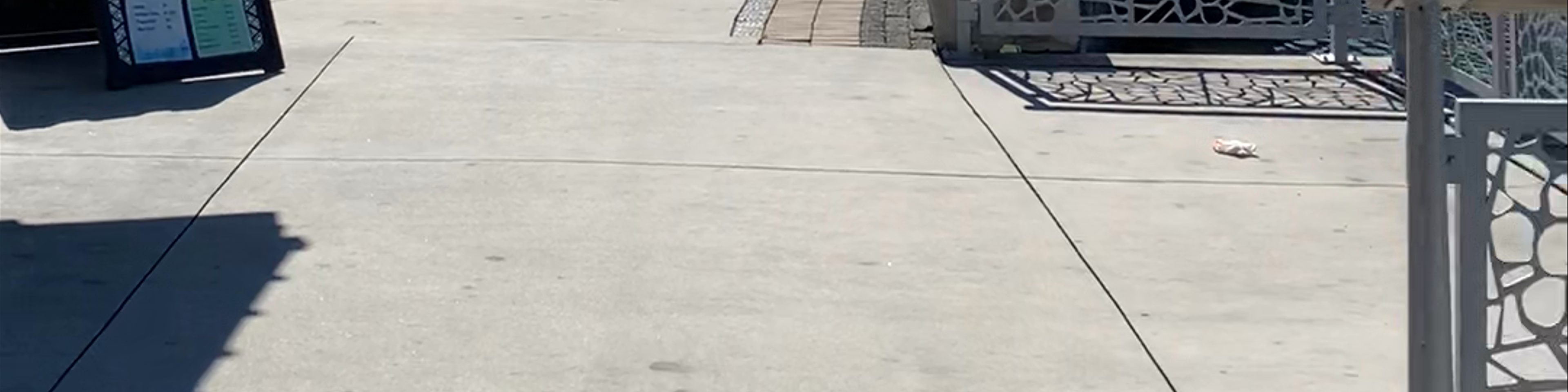 Oviedo