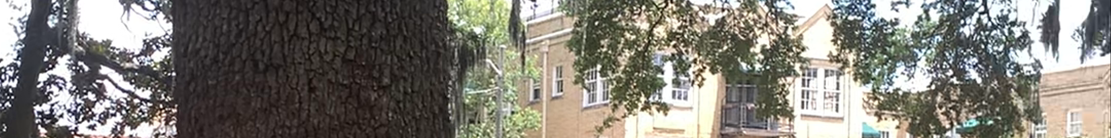 Tours & experiences in Savannah
