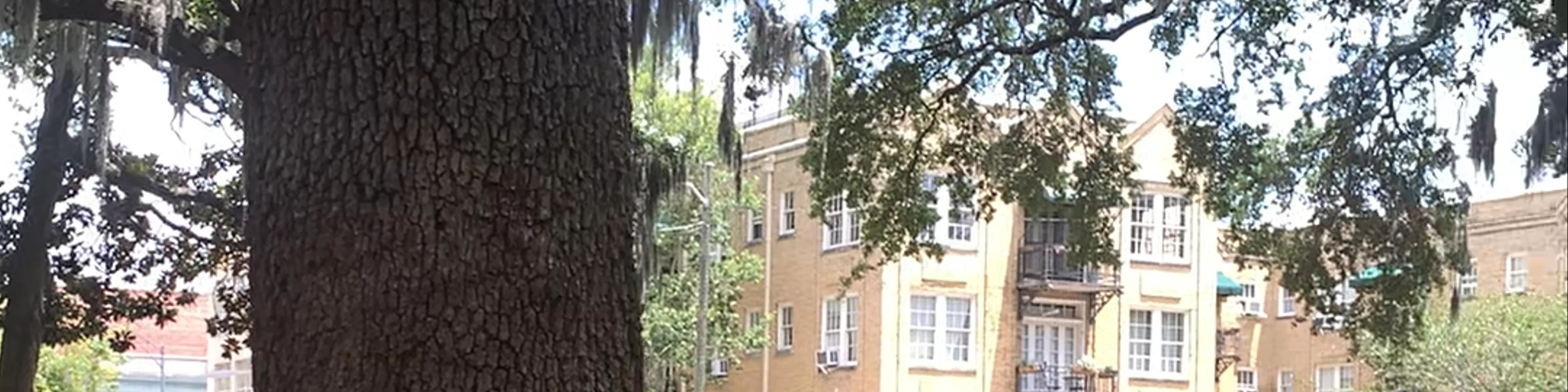 Oglethorpe Square
