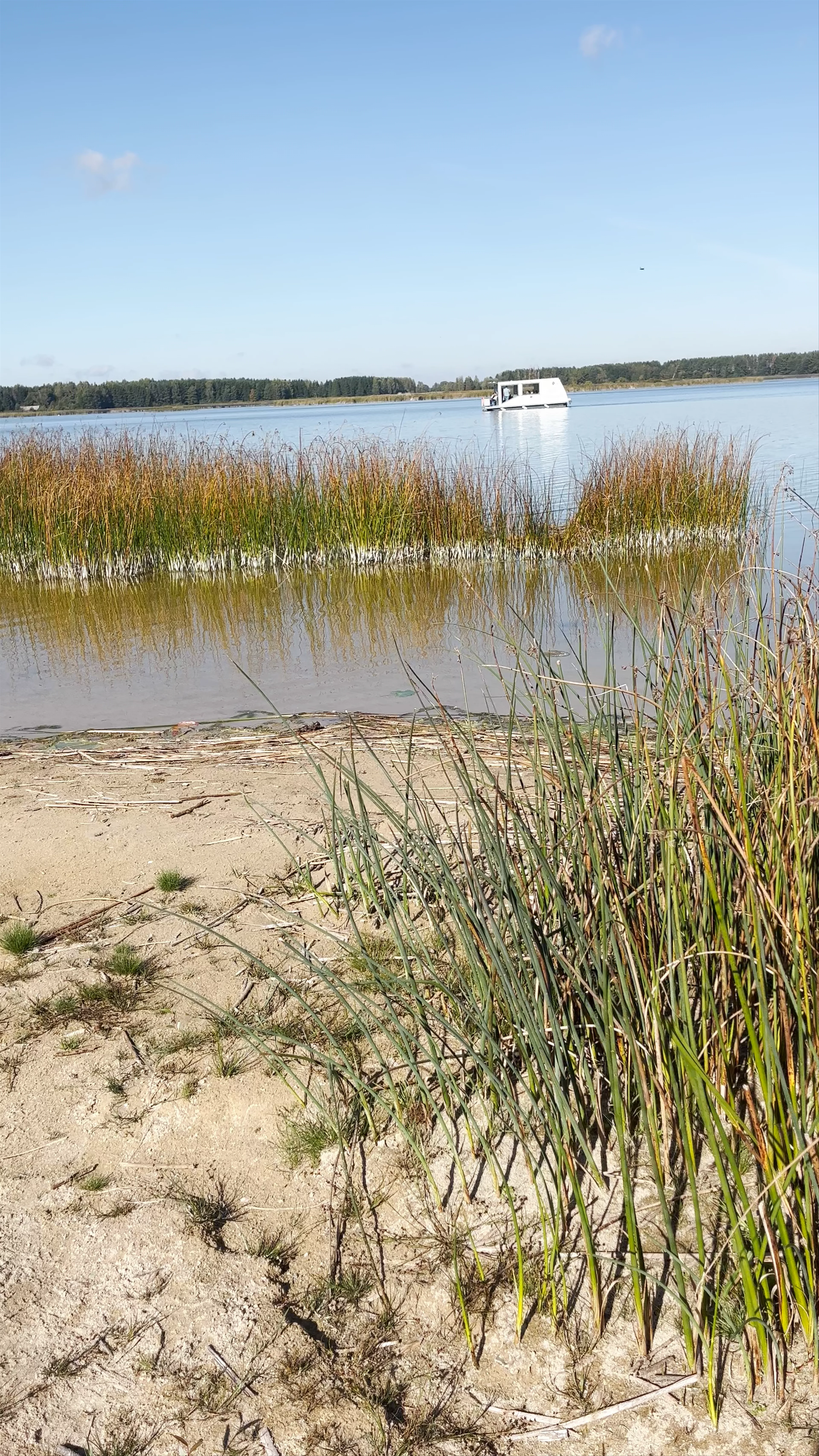 Central City Beach