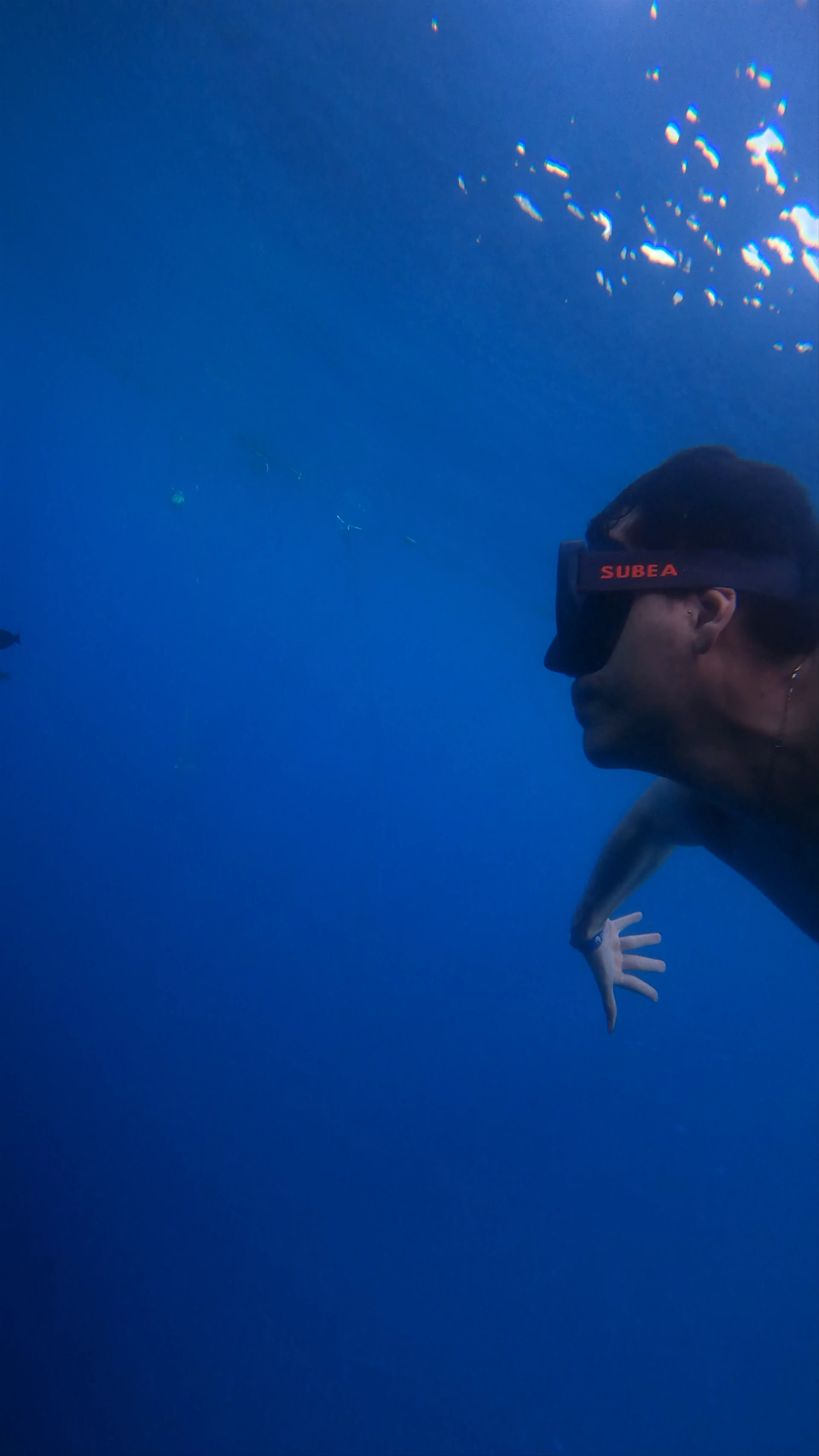Barriera corallina, Second Sharm Al Shiekh, Egypt