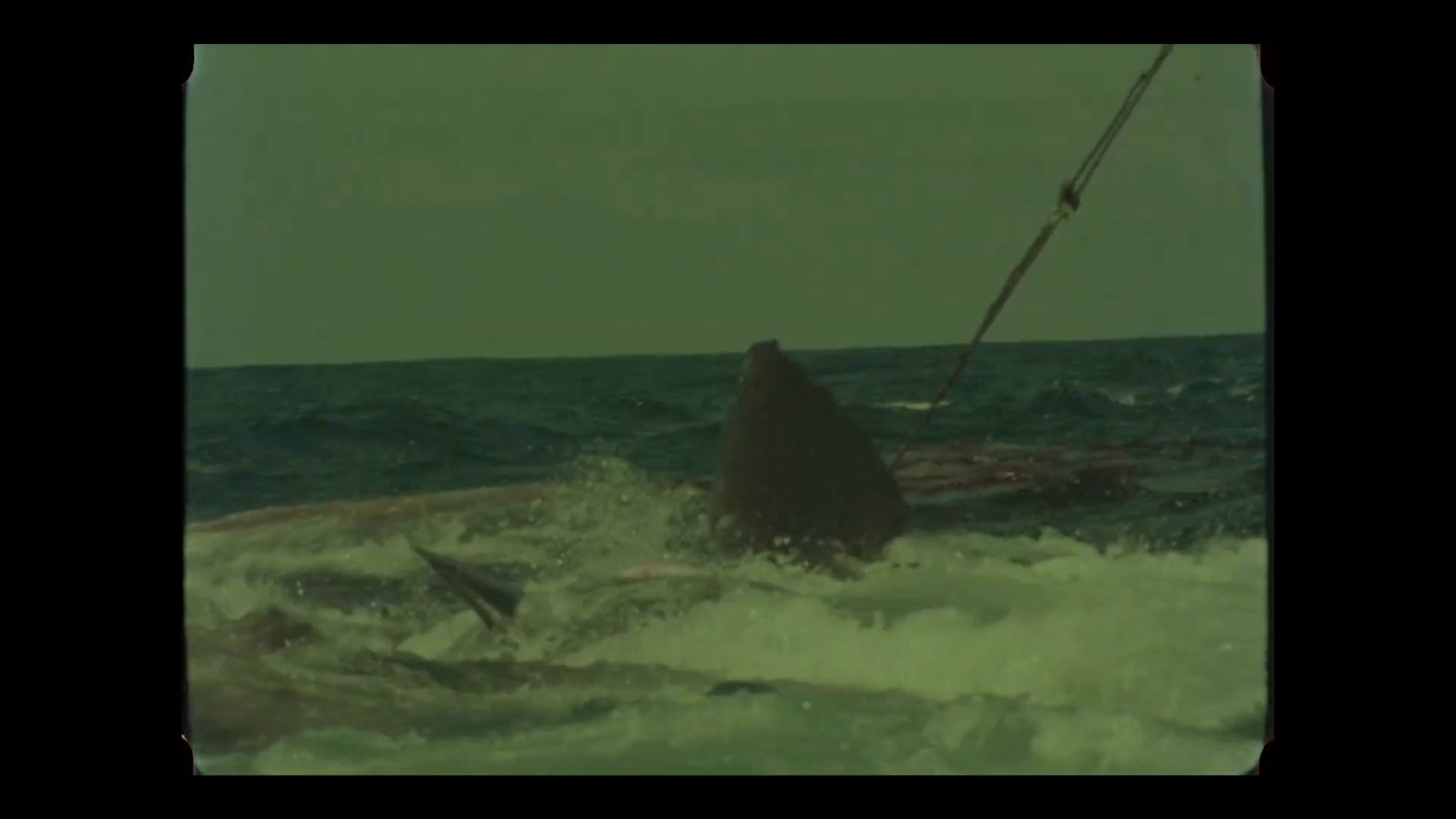 Portfolio clip by Matvey F., Berlin videographer