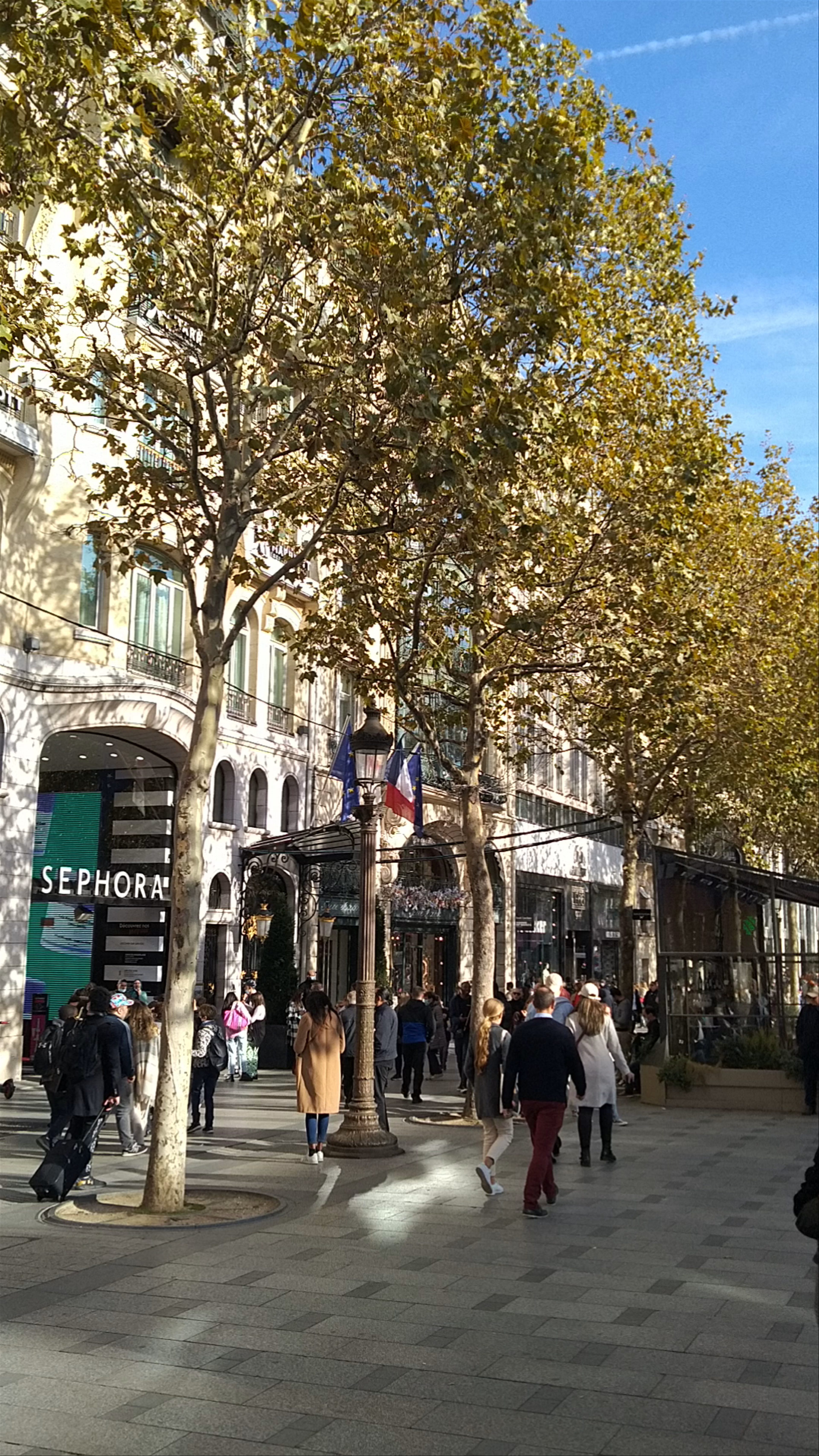 Vibrant Autumn Stroll on Avenue des Champs-Élysées, Paris