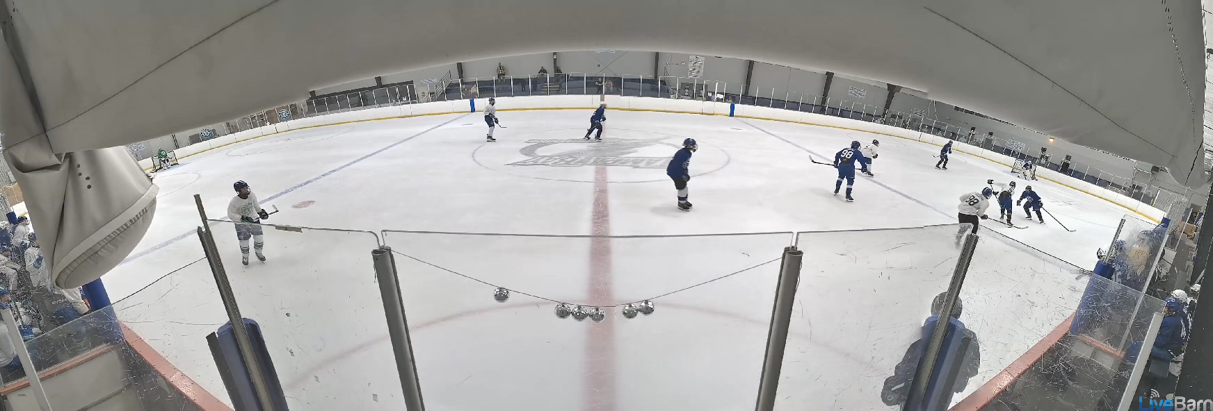 Damien Beuter: Dominating Defensive Play at Center Ice